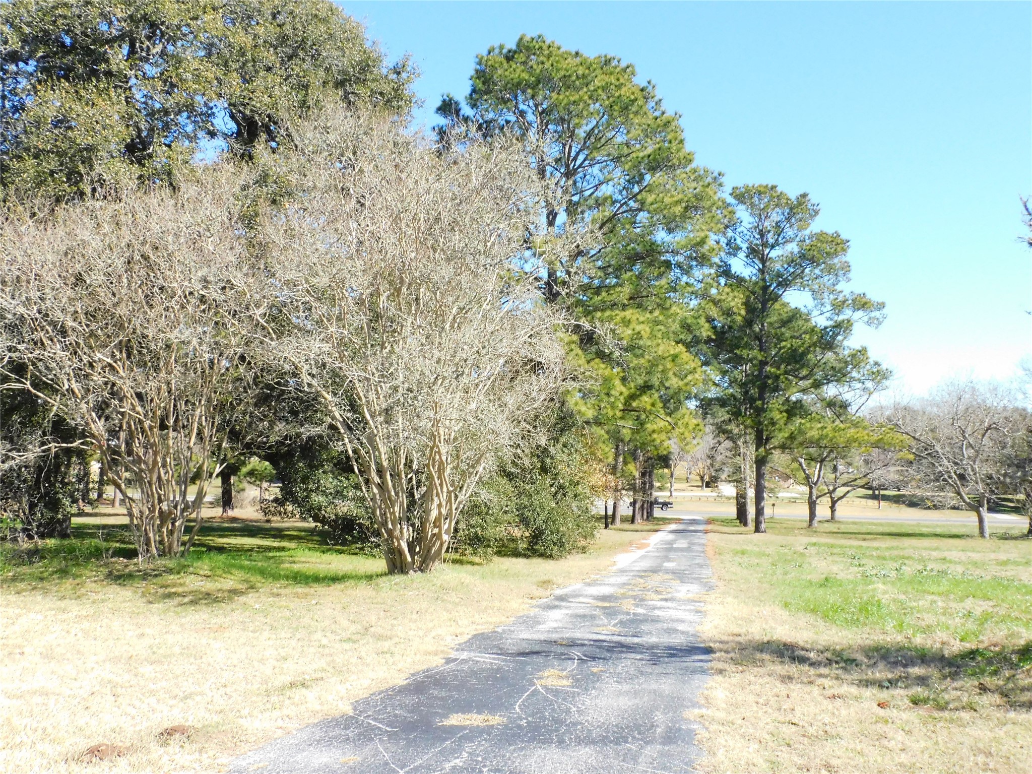 2408 Gun And Rod Road Brenham, TX 77833 - Photo 2 of 17 a view of yard with trees