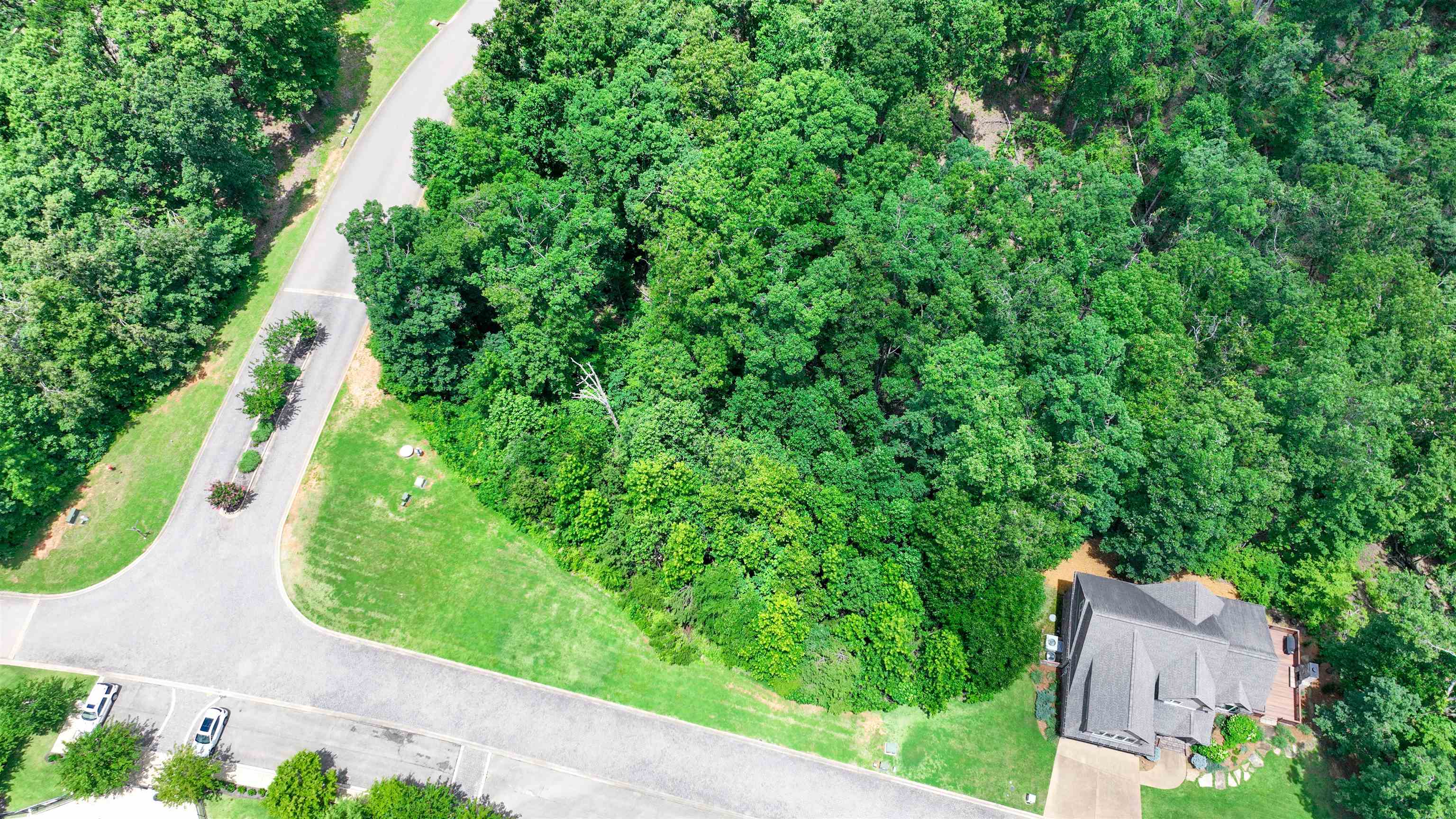 58 Breathtaking Loop Savannah, TN 38372 - Photo 5 of 36