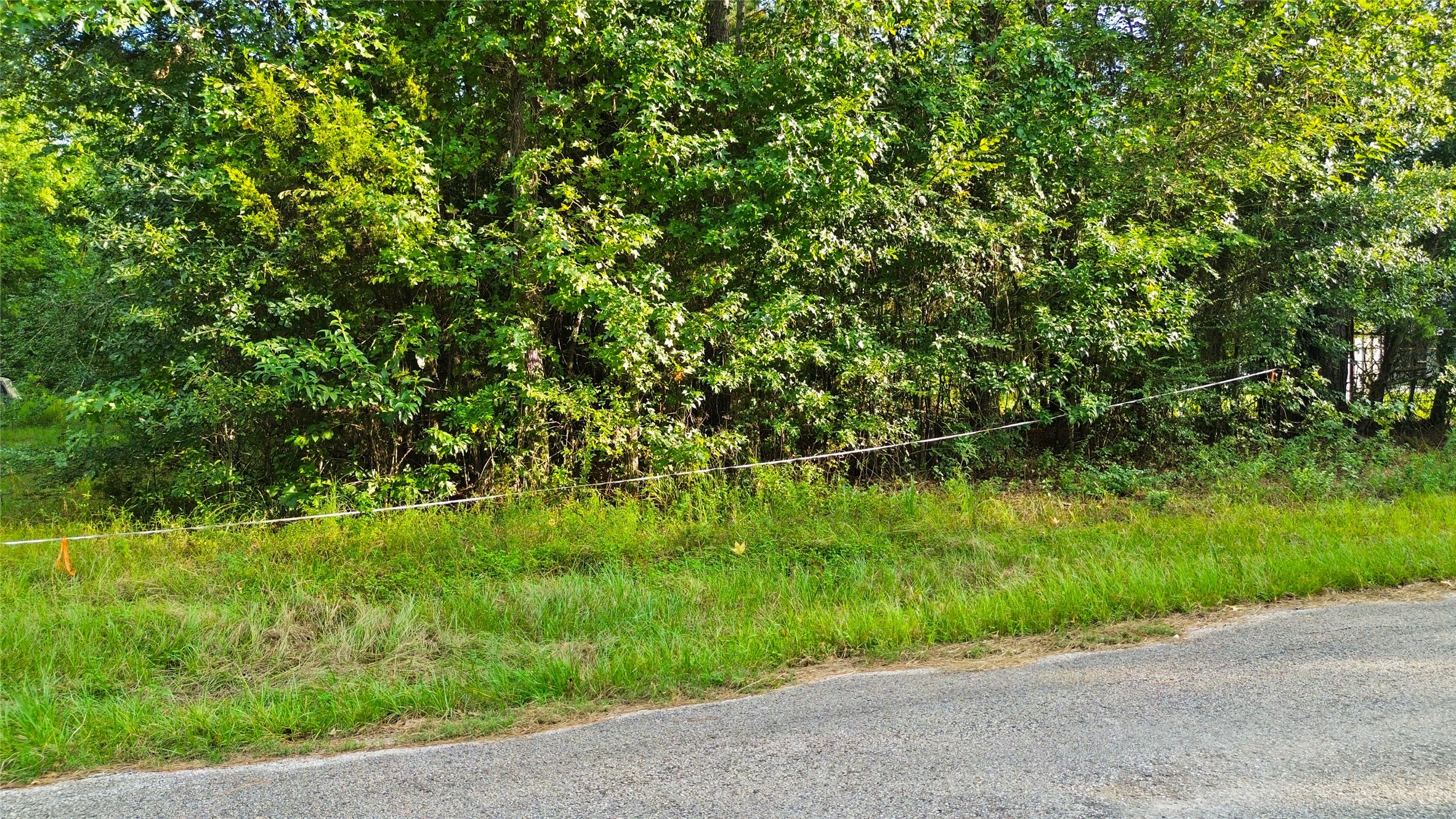 304 Hardy Bottom Road New Waverly, TX 77358 - Photo 12 of 17 Gallery Image 12
