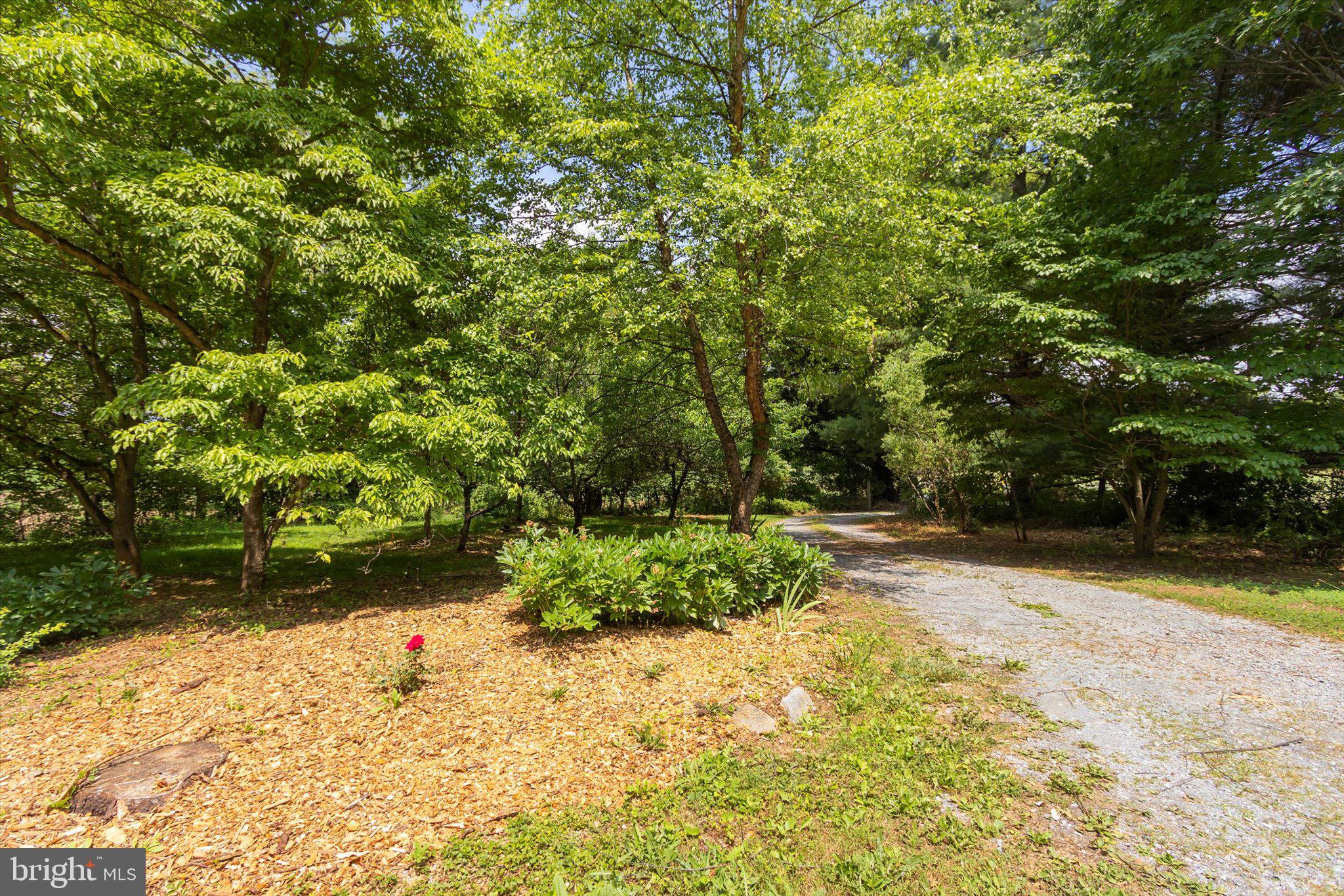 561 Co Rte 12/1 Shepherdstown, WV 25443 - Photo 37 of 45