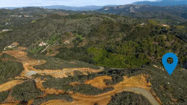 a view of a lake in a forest