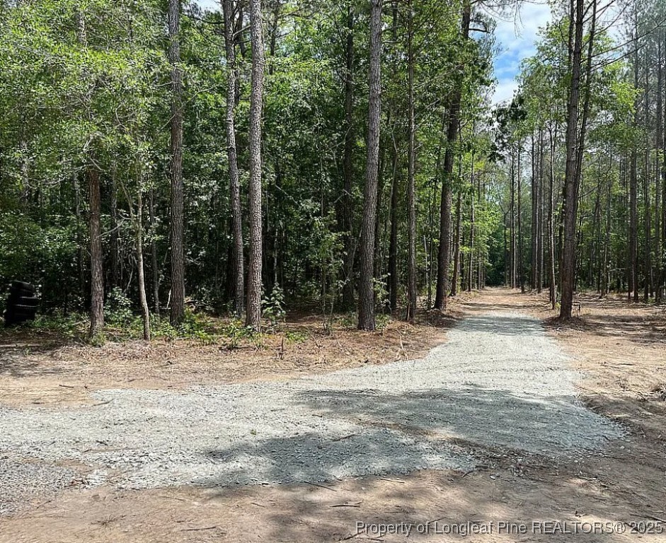 5535 Autryville Road Autryville, NC 28318 - Photo 20 of 22 a view of outdoor space with trees
