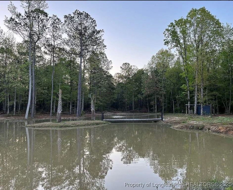 5535 Autryville Road Autryville, NC 28318 - Photo 4 of 22 a view of a lake view with a large trees