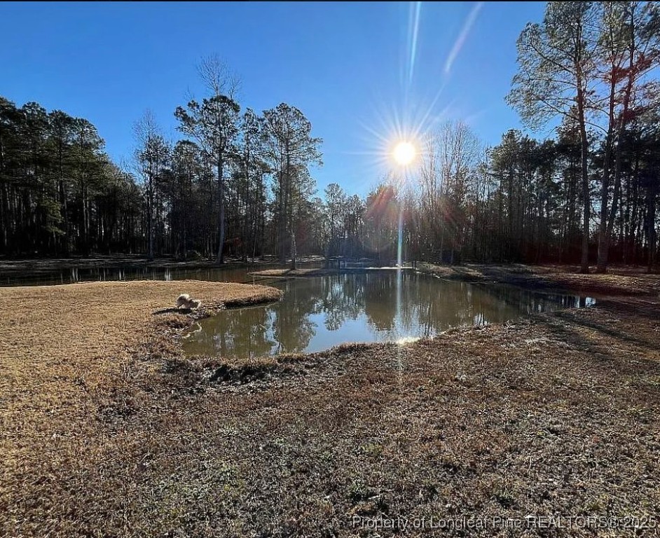 5535 Autryville Road Autryville, NC 28318 - Photo 5 of 22 a view of a water pond with green space
