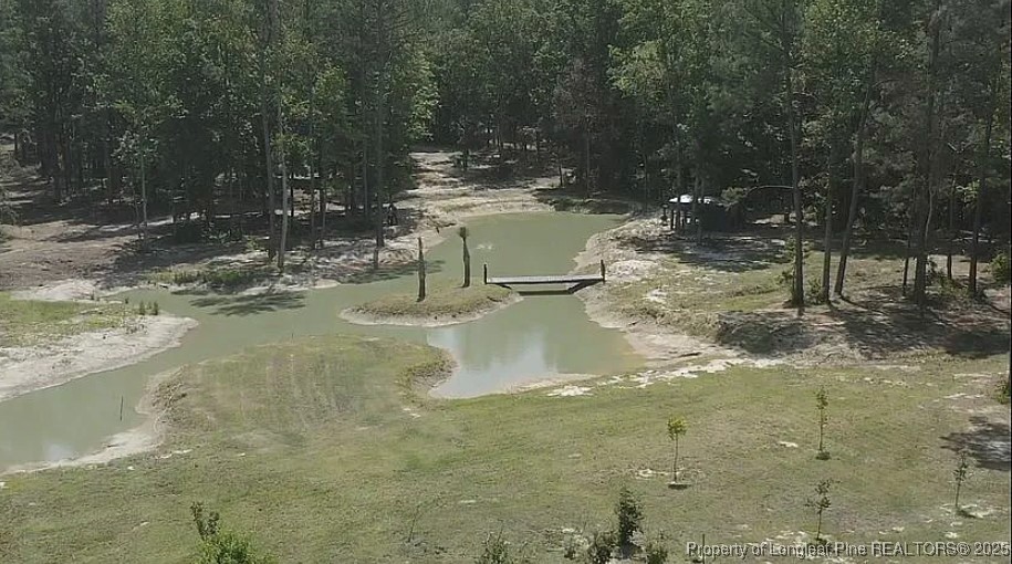 5535 Autryville Road Autryville, NC 28318 - Photo 6 of 22 a view of a yard with water fountain