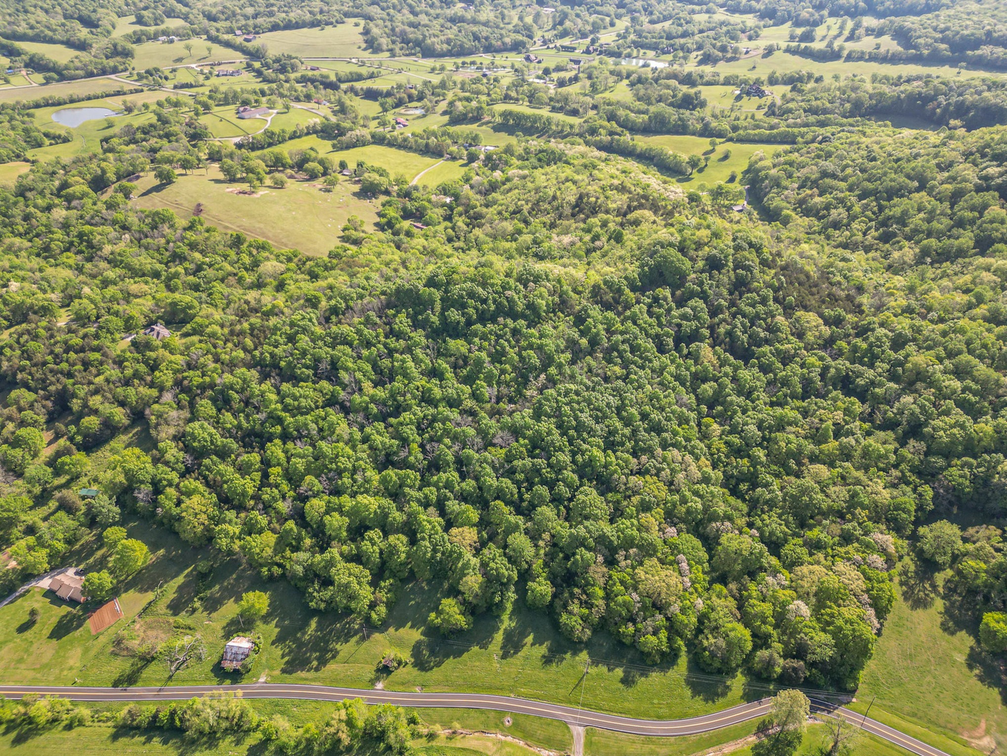 4481 Dyke Bennett Road Franklin, TN 37064 - Photo 13 of 24 a view of a yard with a tree
