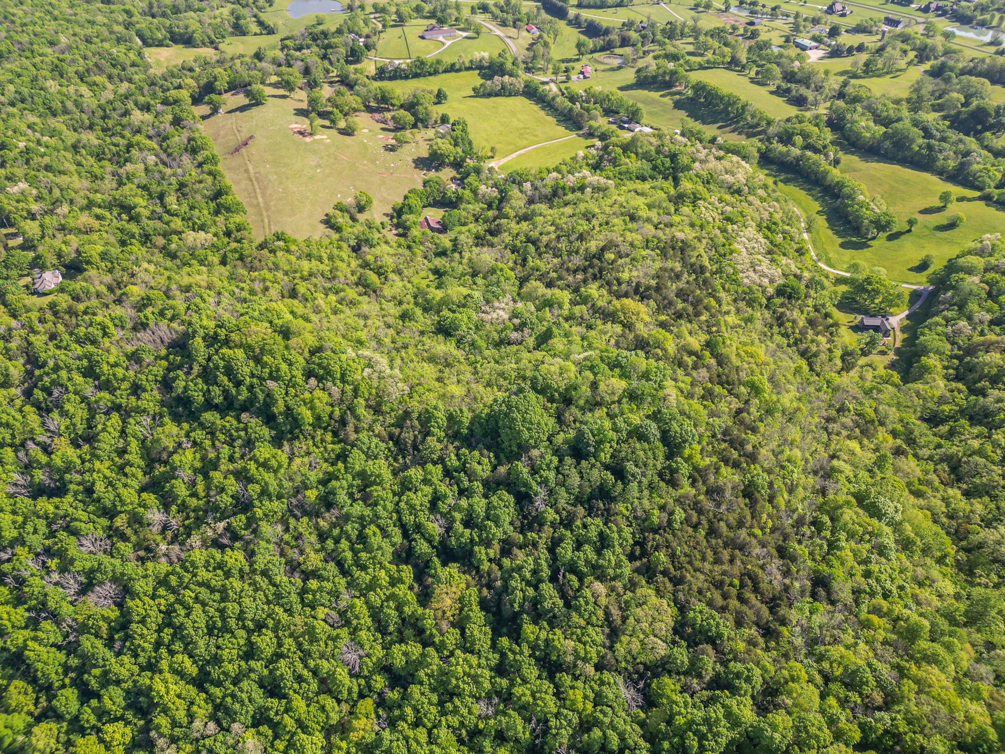 4481 Dyke Bennett Road Franklin, TN 37064 - Photo 14 of 24 a view of a lake view