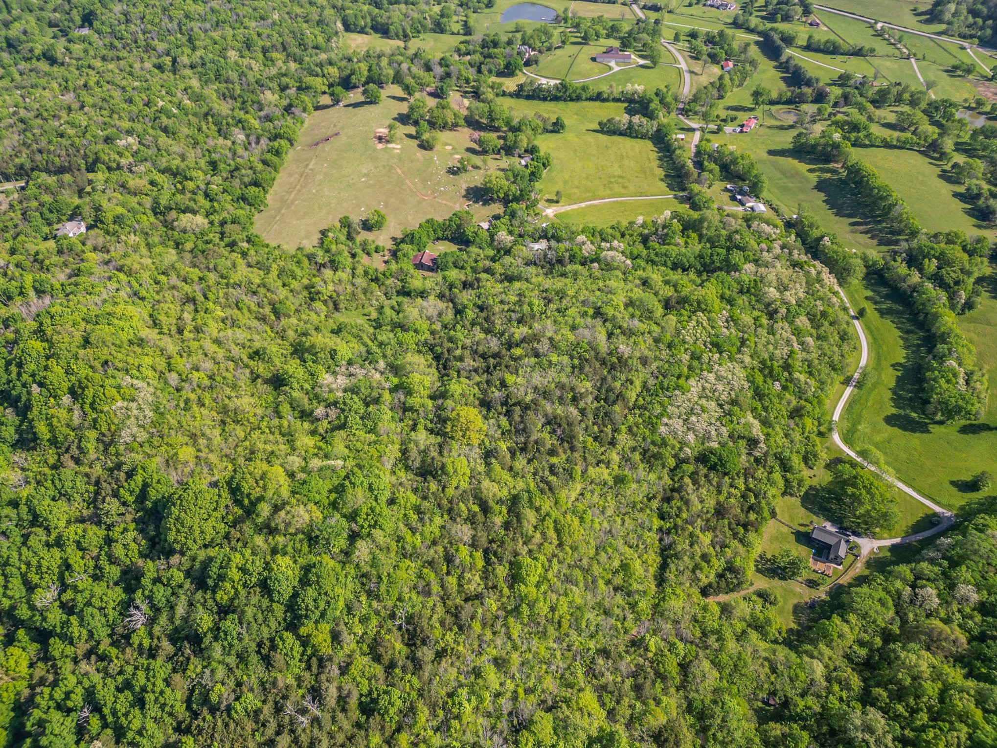 4481 Dyke Bennett Road Franklin, TN 37064 - Photo 15 of 24 a close up of a plant in a garden