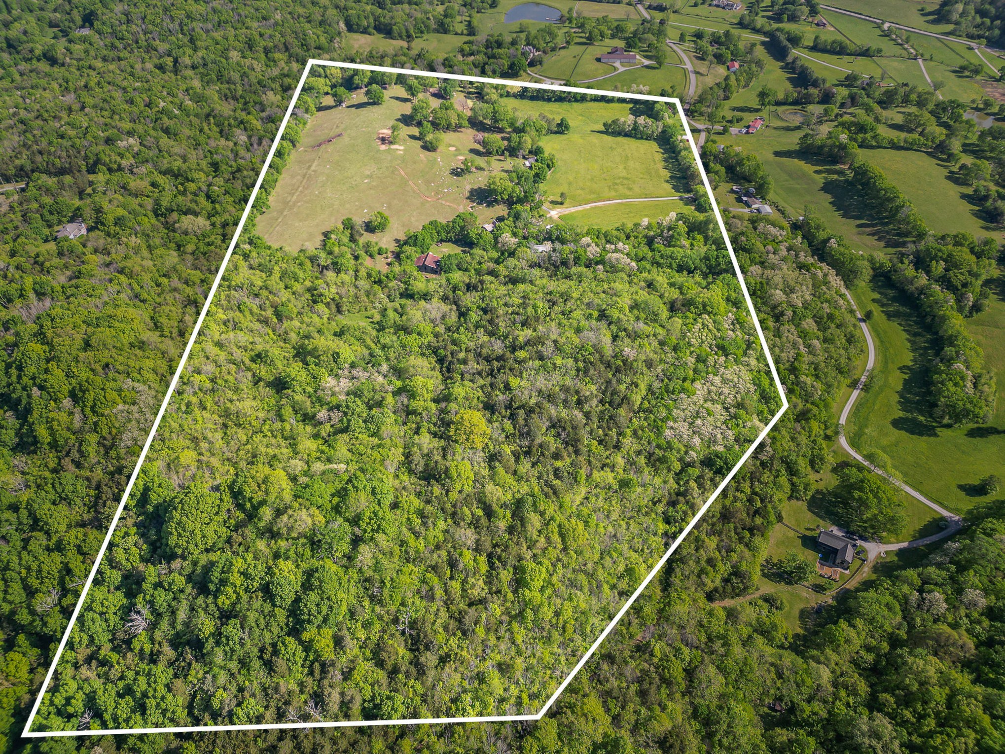 4481 Dyke Bennett Road Franklin, TN 37064 - Photo 8 of 24 a view of a yard