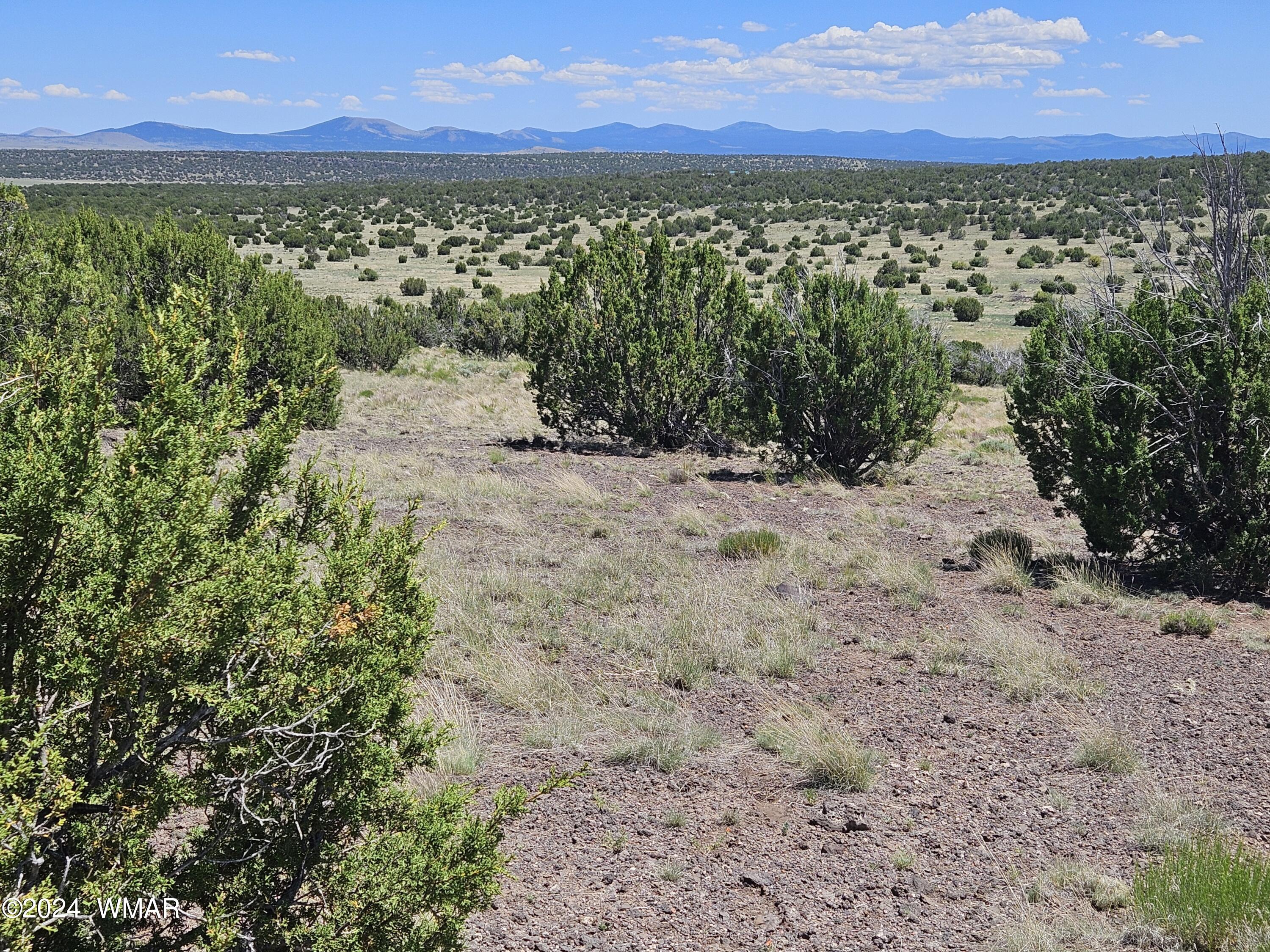N8515 Rd Concho Az 85924 Road Concho, AZ 85924 - Photo 1 of 18 Views!