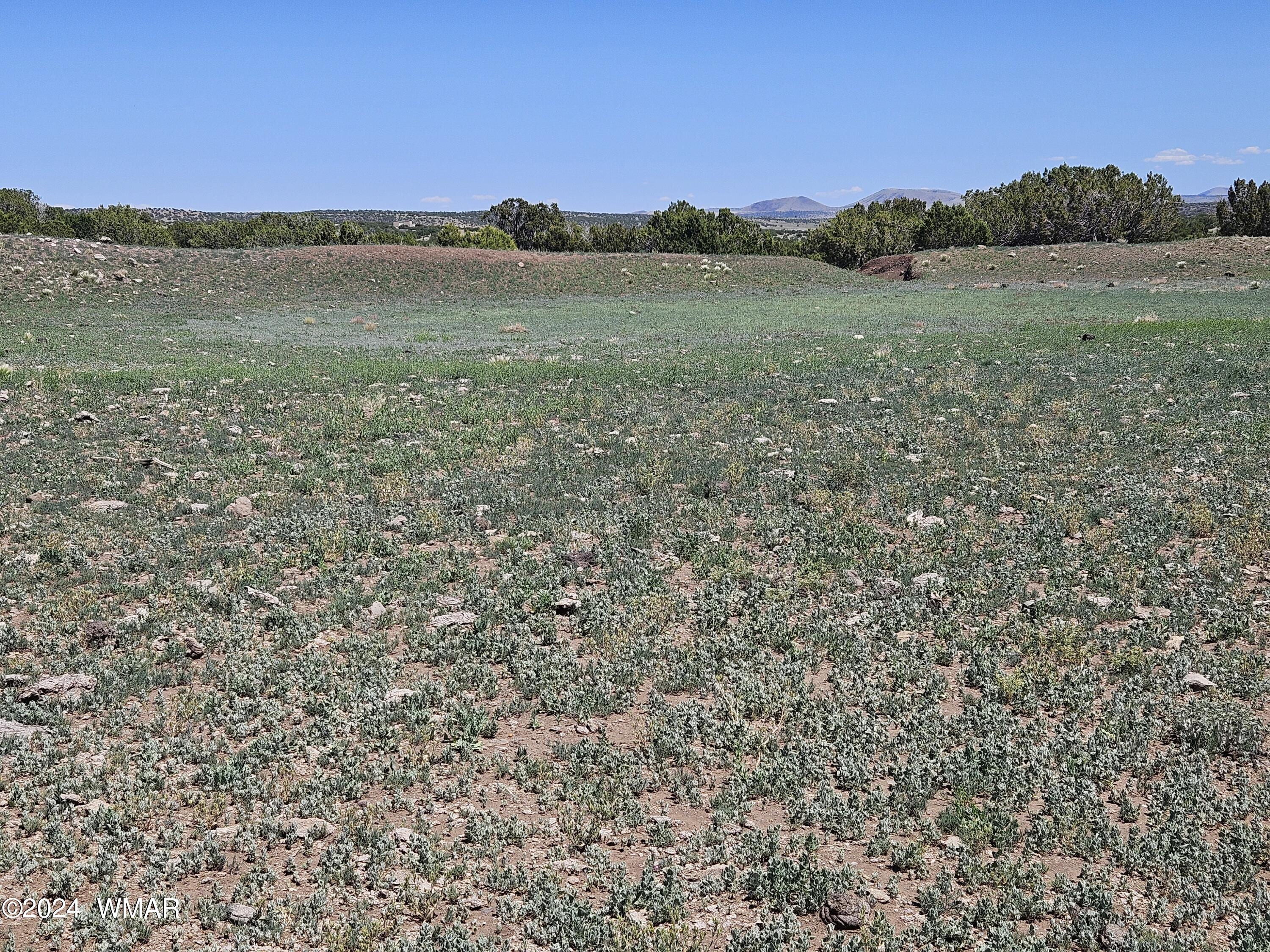 N8515 Rd Concho Az 85924 Road Concho, AZ 85924 - Photo 11 of 18 Seasonal tank is about half on the property and half on the adjacent ranch property