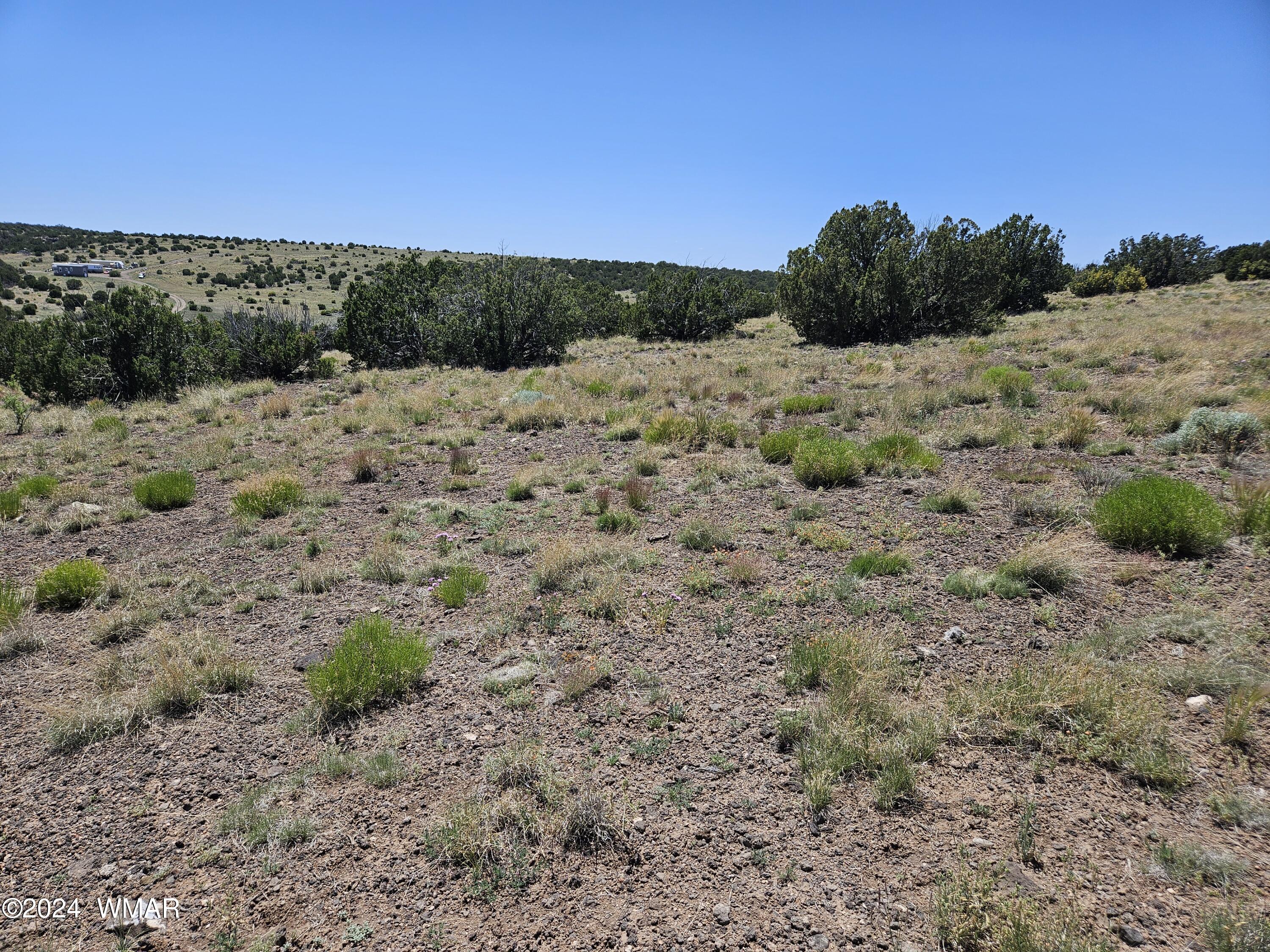 N8515 Rd Concho Az 85924 Road Concho, AZ 85924 - Photo 13 of 18 20240530_132620
