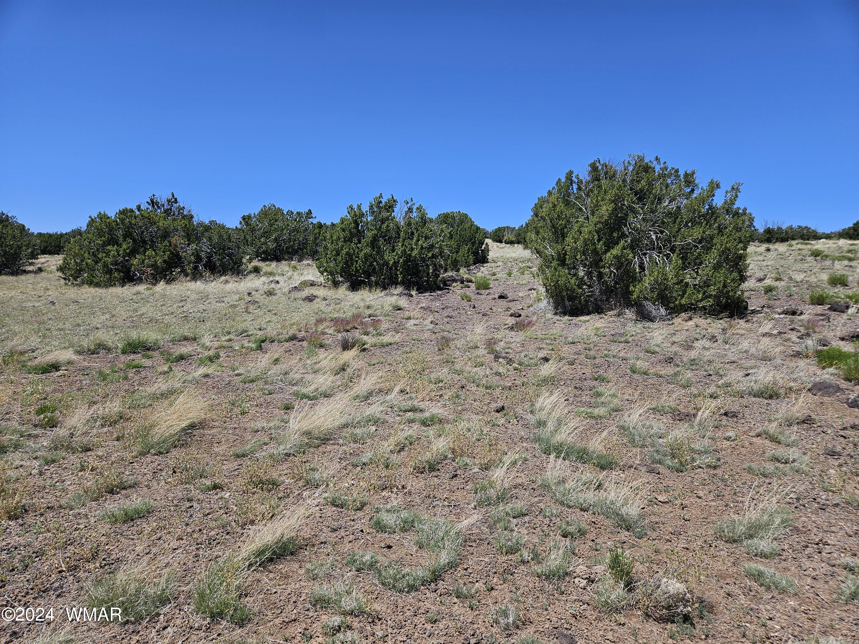 N8515 Rd Concho Az 85924 Road Concho, AZ 85924 - Photo 14 of 18 20240530_132125