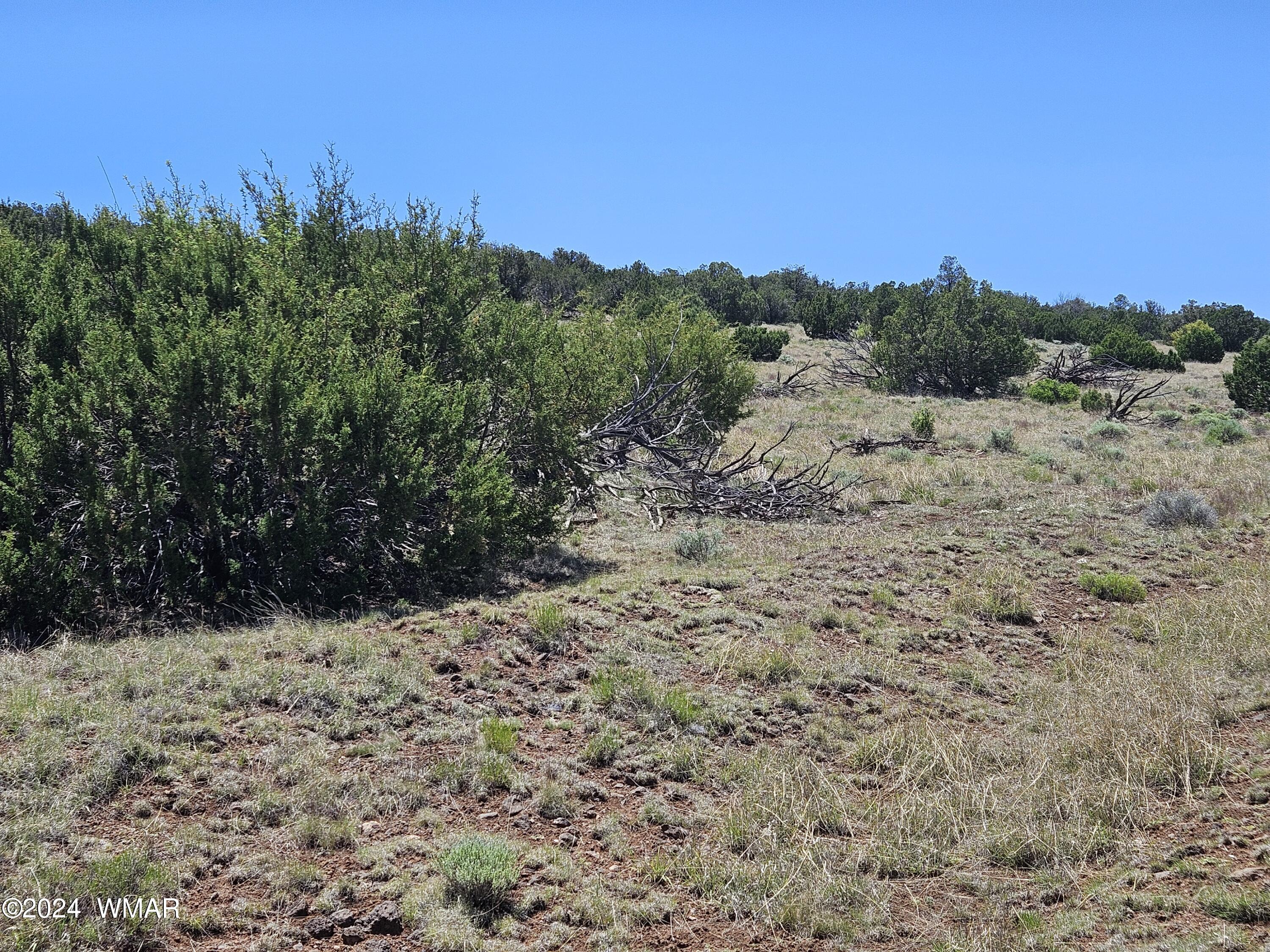 N8515 Rd Concho Az 85924 Road Concho, AZ 85924 - Photo 15 of 18 20240530_130625