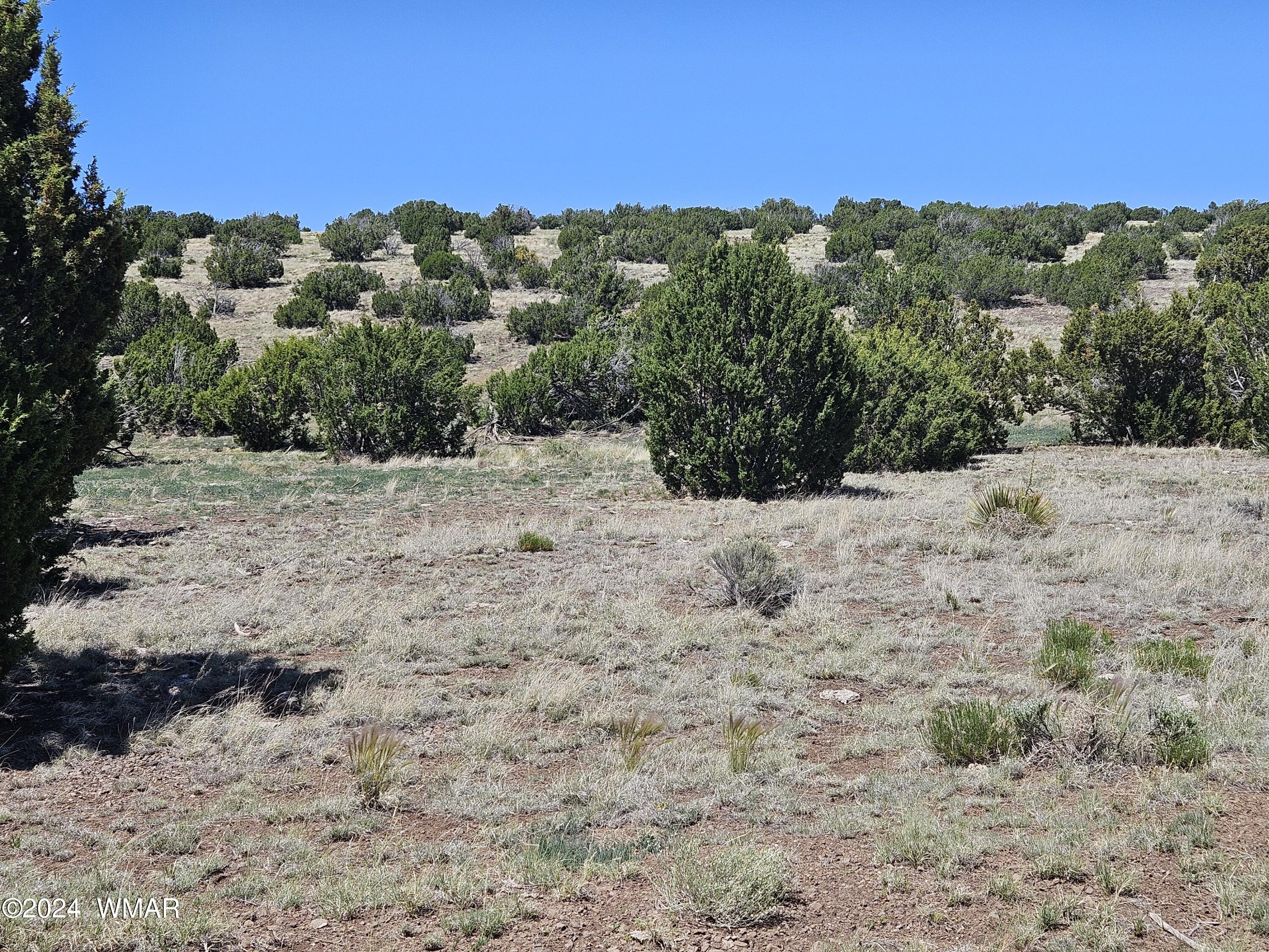 N8515 Rd Concho Az 85924 Road Concho, AZ 85924 - Photo 16 of 18 20240530_134542