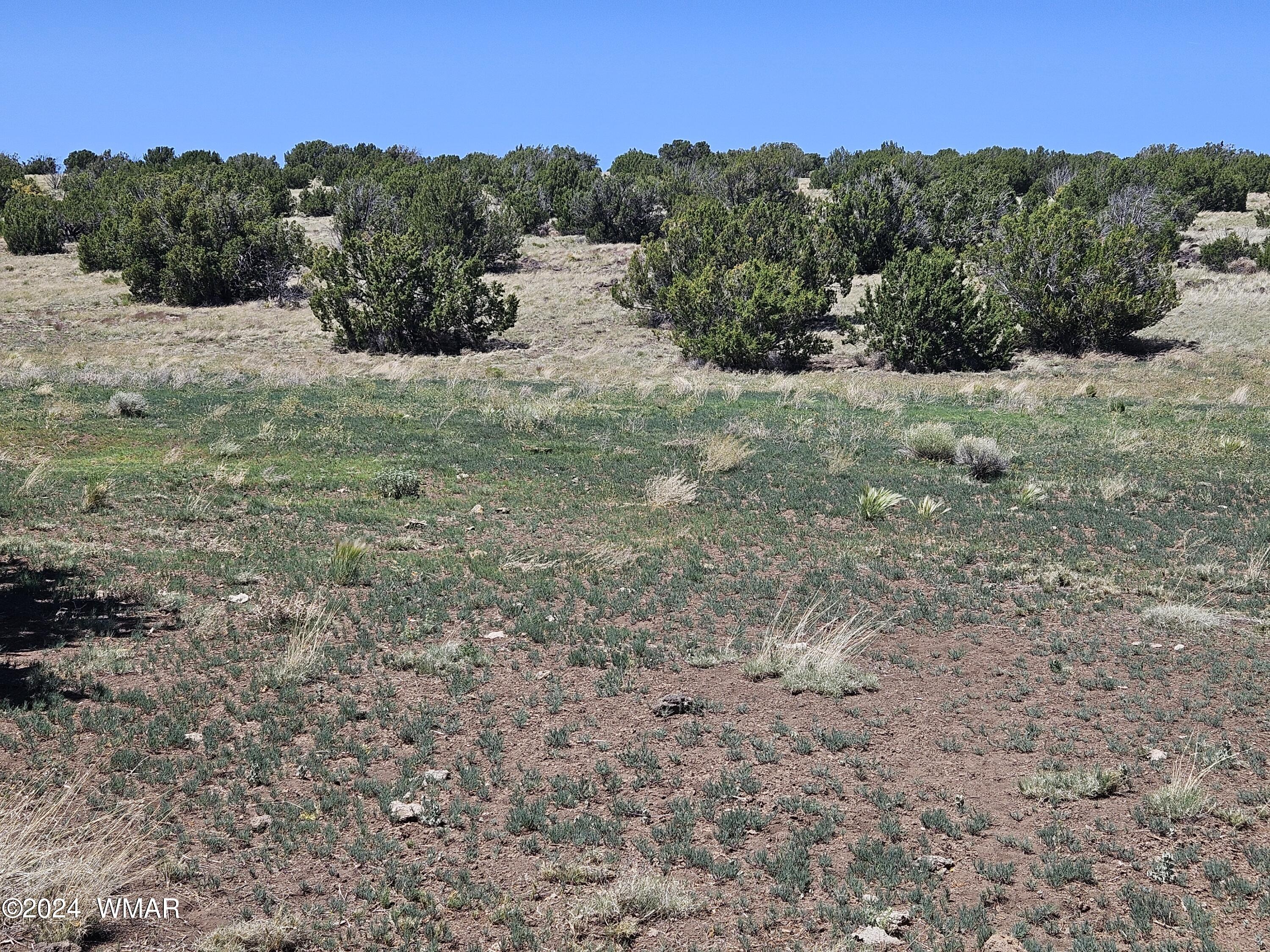 N8515 Rd Concho Az 85924 Road Concho, AZ 85924 - Photo 17 of 18 20240530_134731