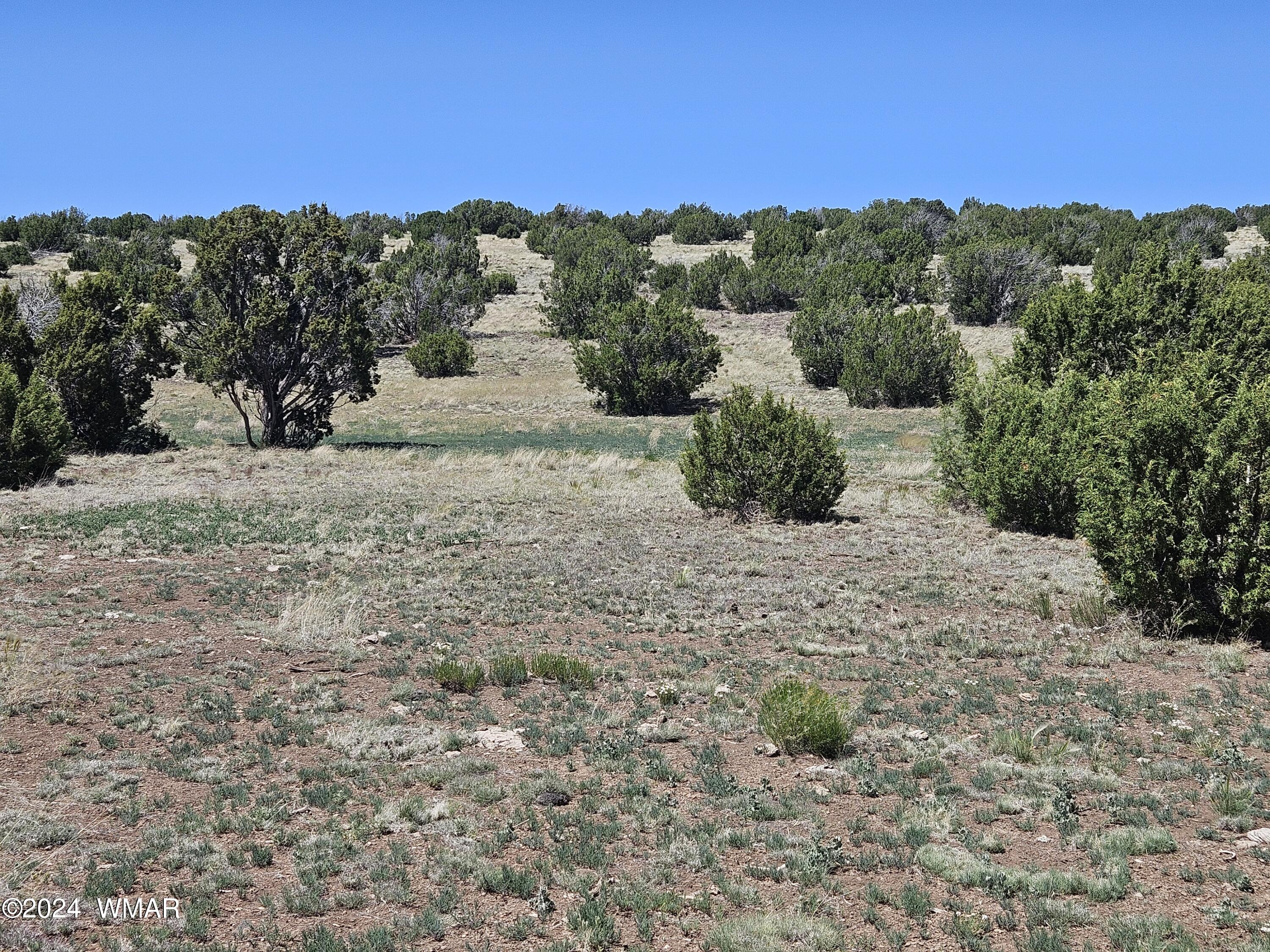 N8515 Rd Concho Az 85924 Road Concho, AZ 85924 - Photo 18 of 18 20240530_134625