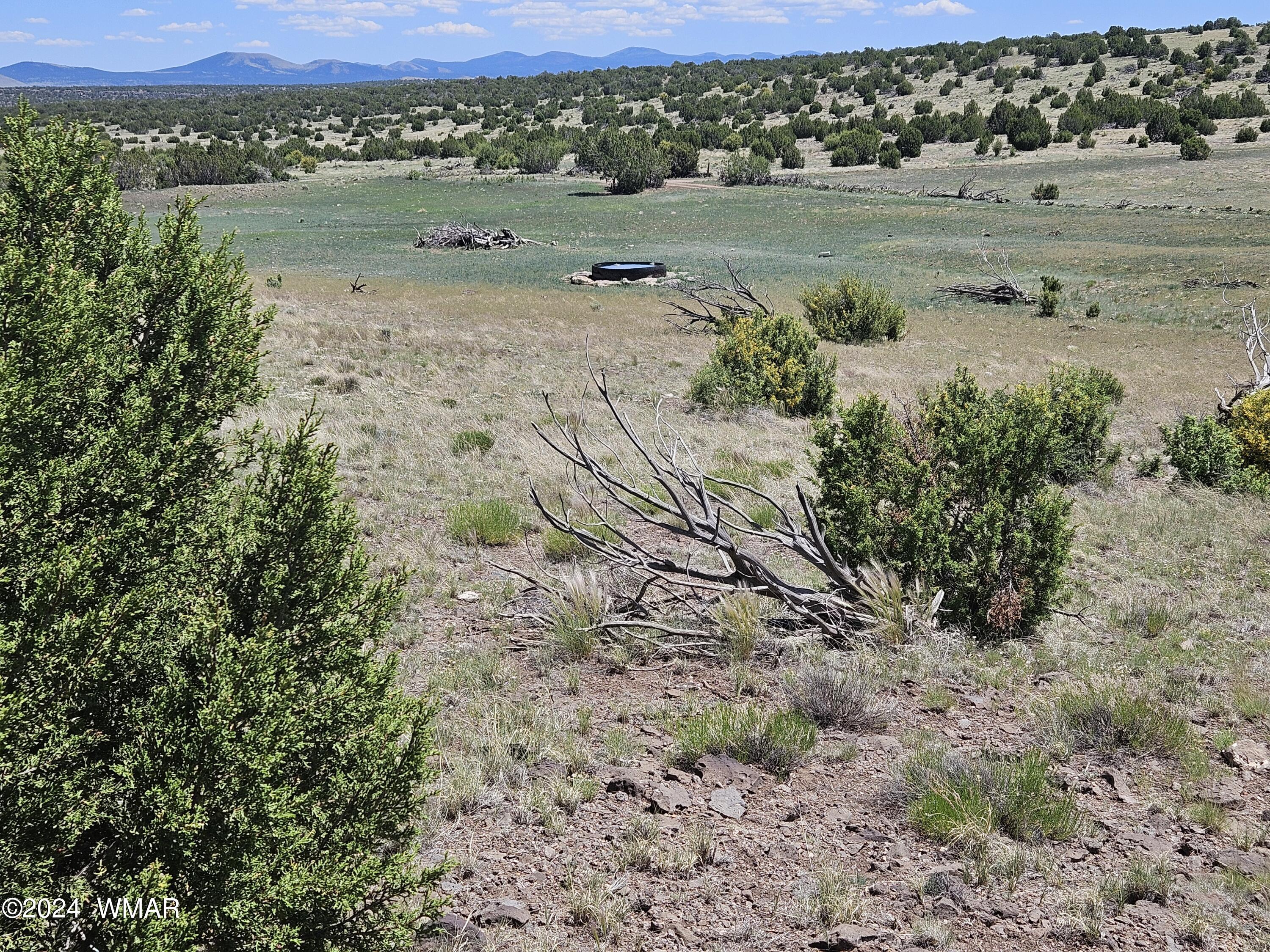 N8515 Rd Concho Az 85924 Road Concho, AZ 85924 - Photo 2 of 18 Looking across the adjacent ranch property with the drinker.