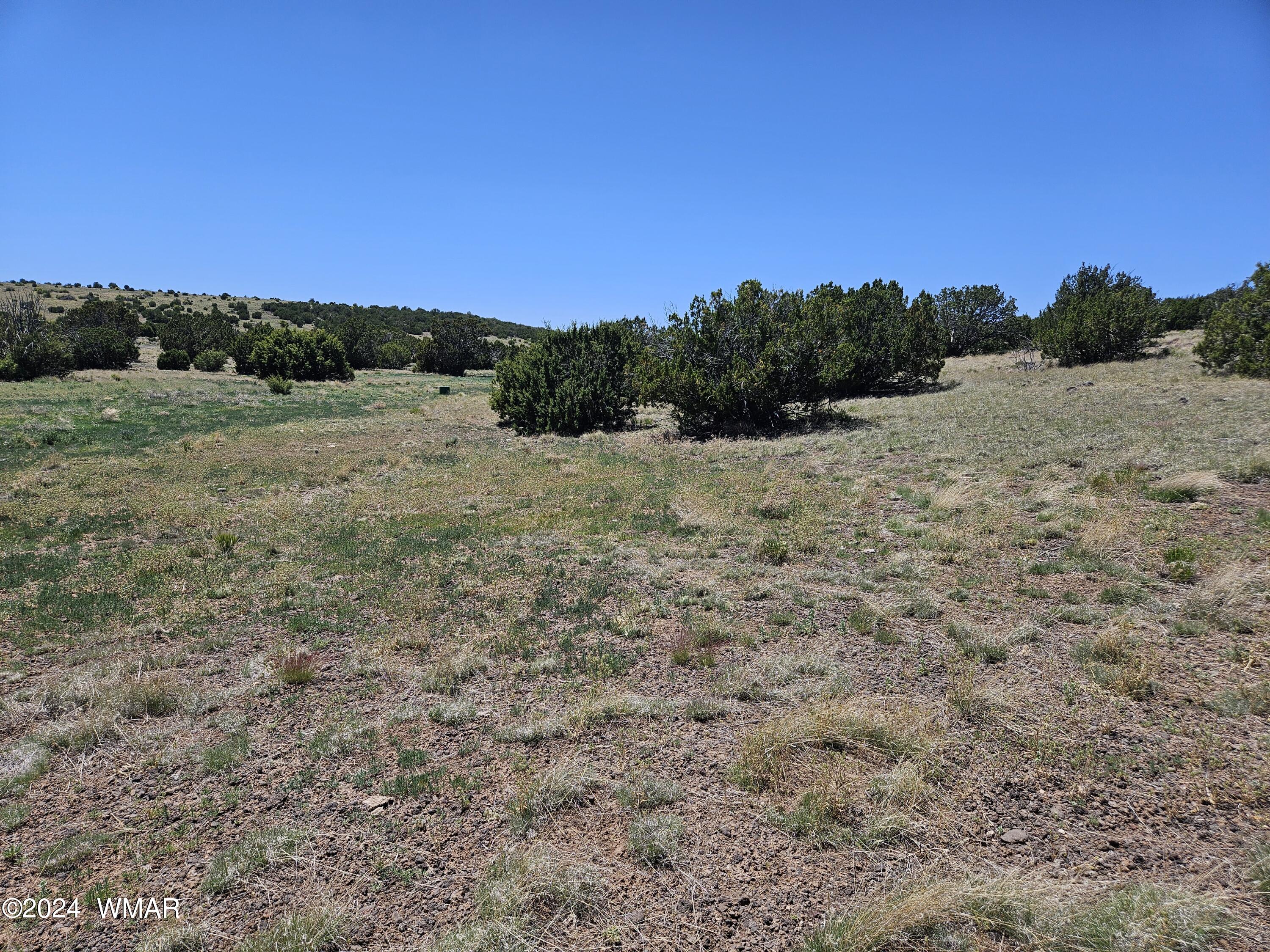 N8515 Rd Concho Az 85924 Road Concho, AZ 85924 - Photo 5 of 18 Beautiful mix of terrain