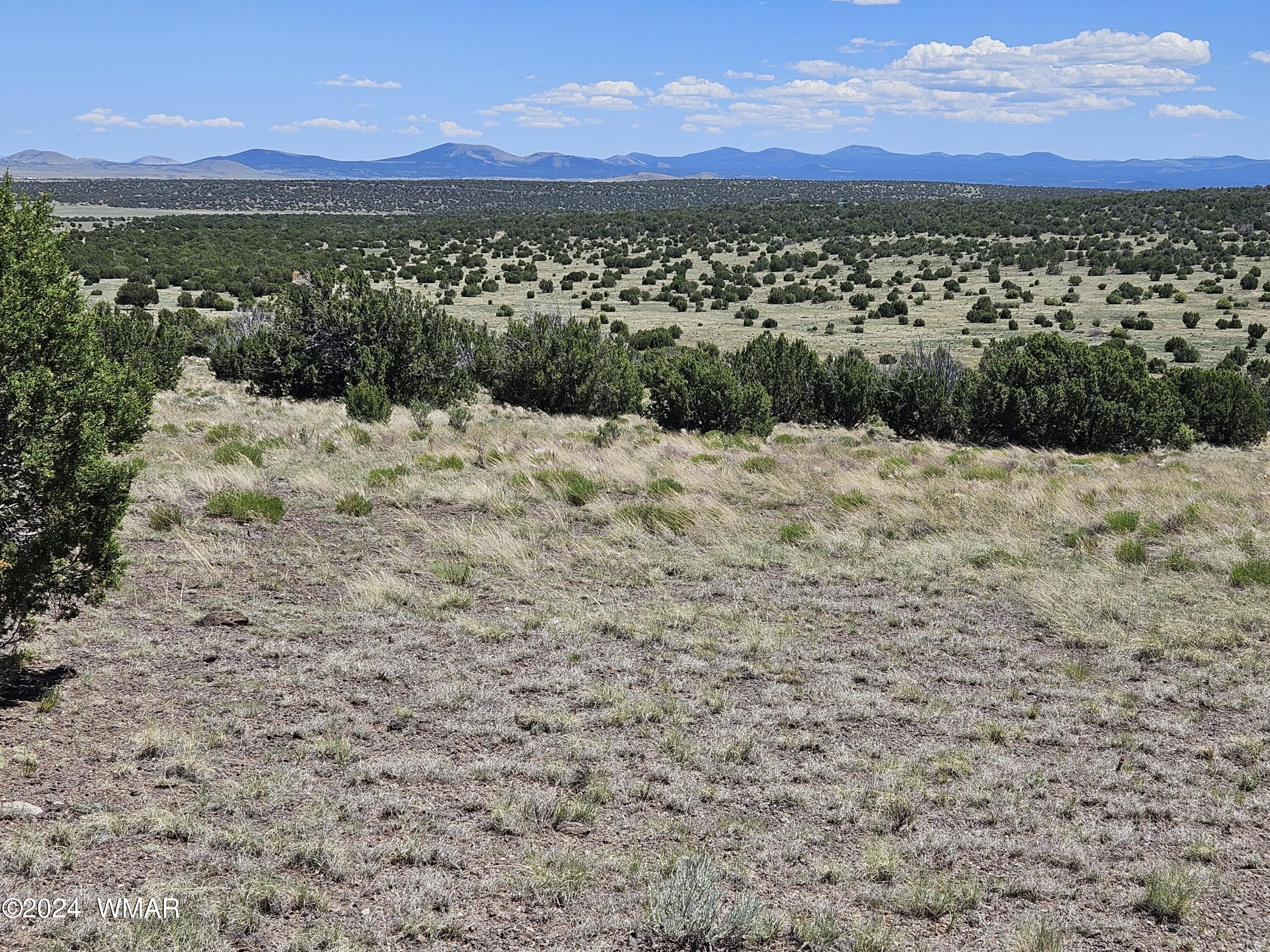 N8515 Rd Concho Az 85924 Road Concho, AZ 85924 - Photo 6 of 18 Views!
