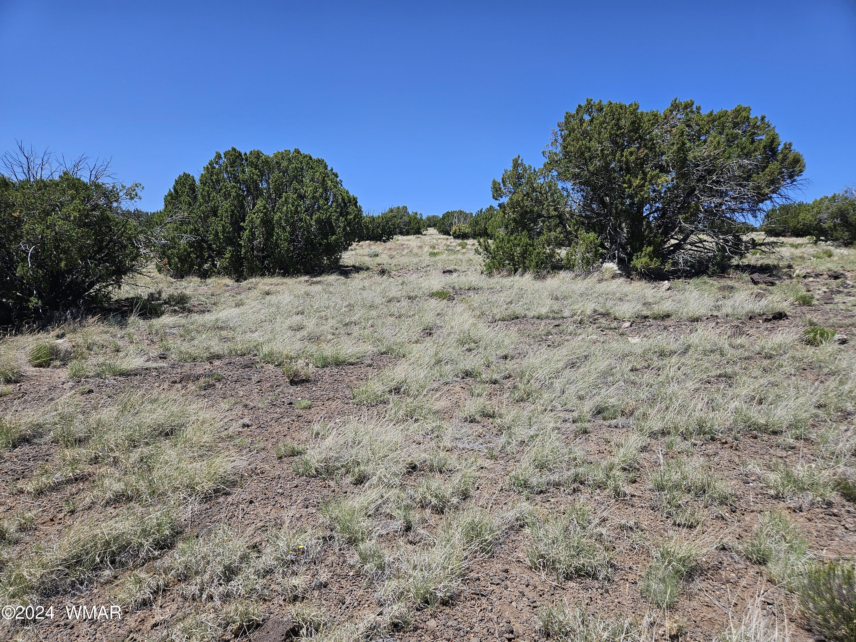 N8515 Rd Concho Az 85924 Road Concho, AZ 85924 - Photo 7 of 18 20240530_132254