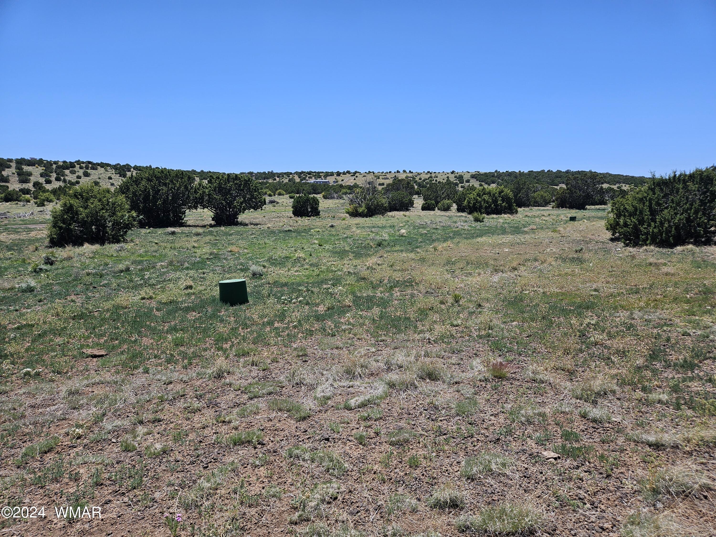 N8515 Rd Concho Az 85924 Road Concho, AZ 85924 - Photo 8 of 18 Meadow area by seasonal tank
