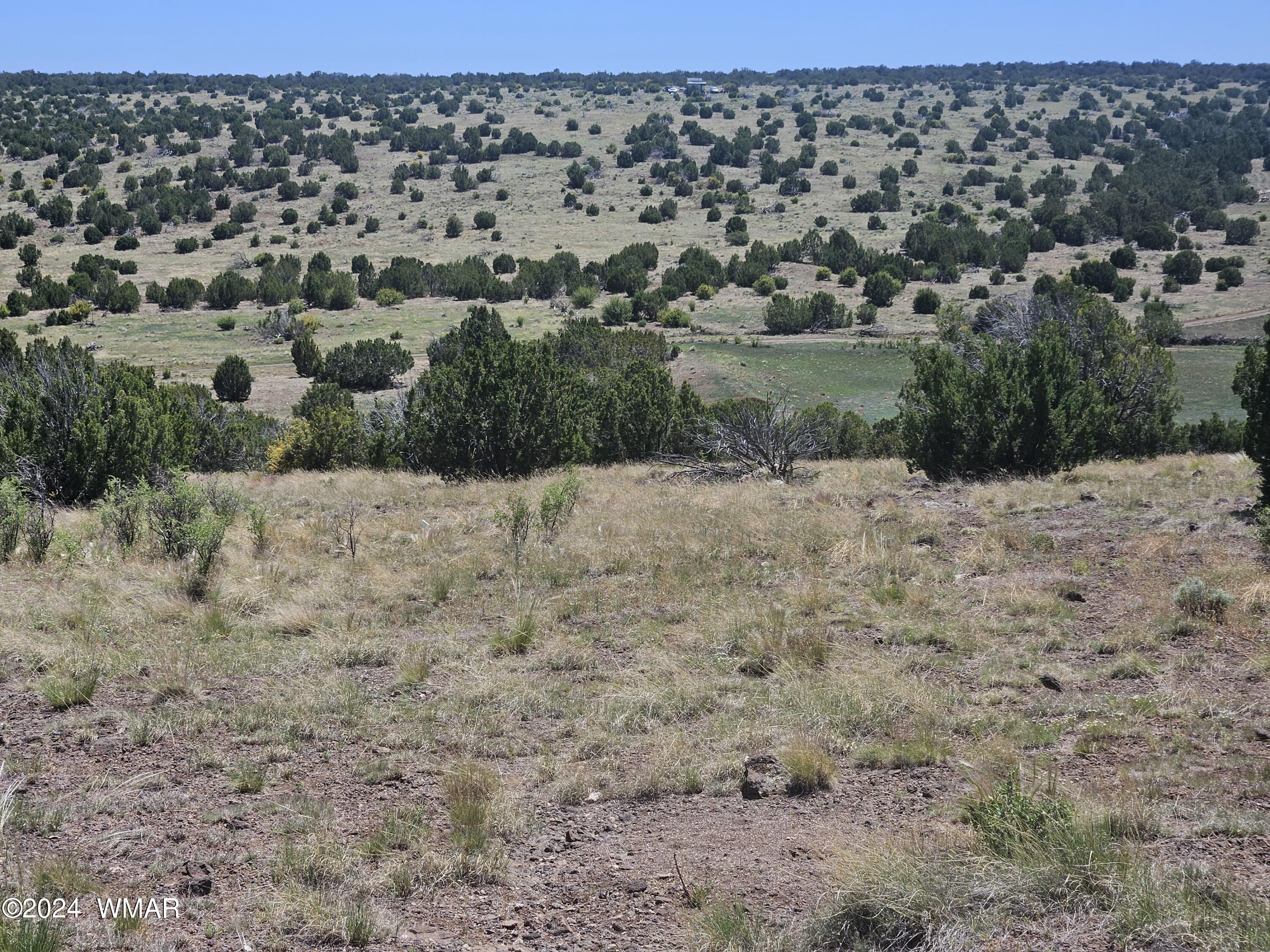 N8515 Rd Concho Az 85924 Road Concho, AZ 85924 - Photo 9 of 18 20240530_133019