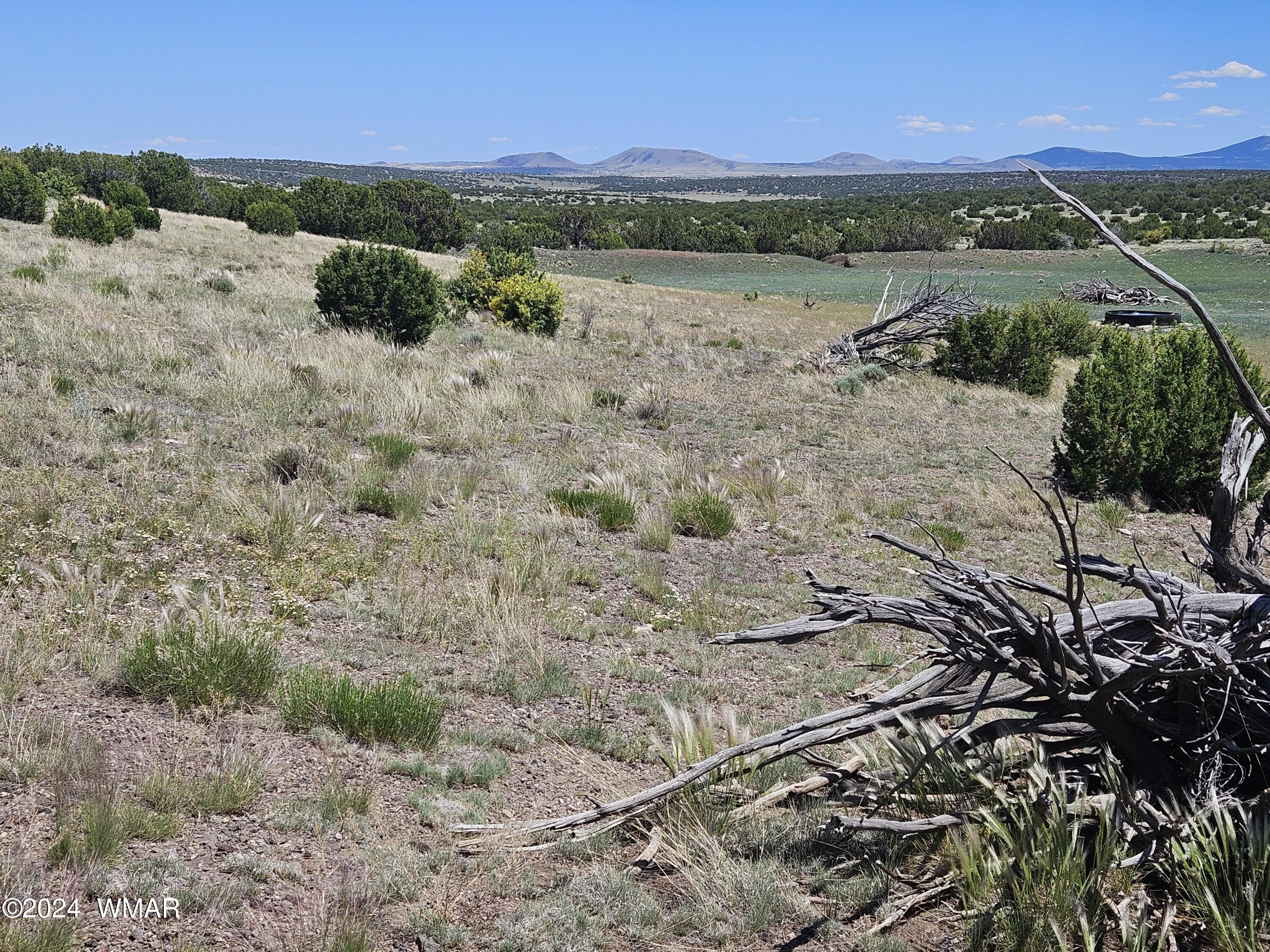N8515 Rd Concho Az 85924 Road Concho, AZ 85924 - Photo 10 of 18 Views from the SW Corner area