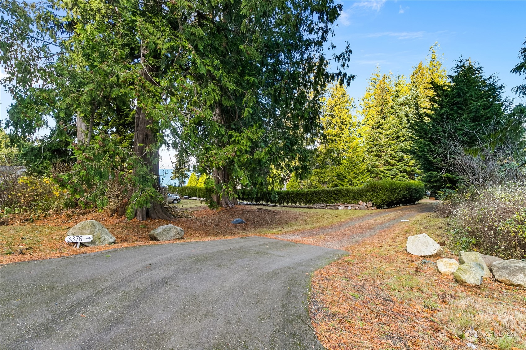 3376 Northgate Road Bellingham, WA 98226 - Photo 34 of 38 a view of a garden with an trees