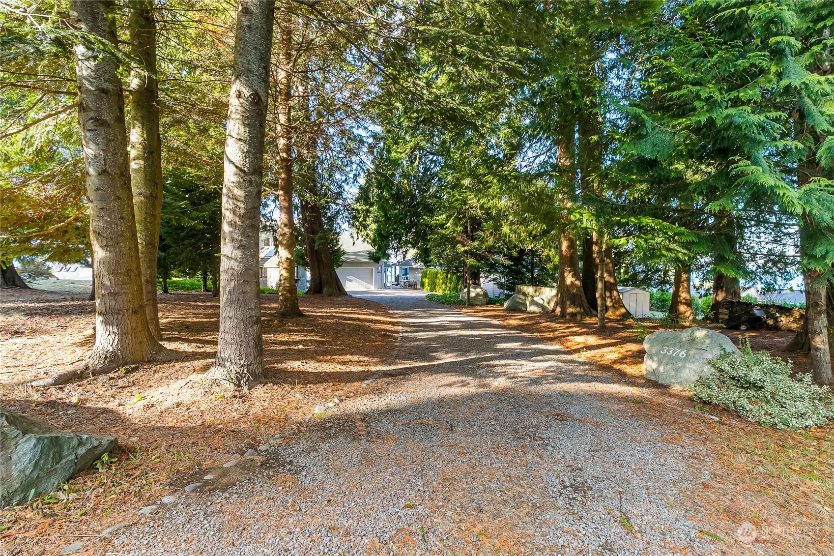 3376 Northgate Road Bellingham, WA 98226 - Photo 5 of 38 a view of road with trees