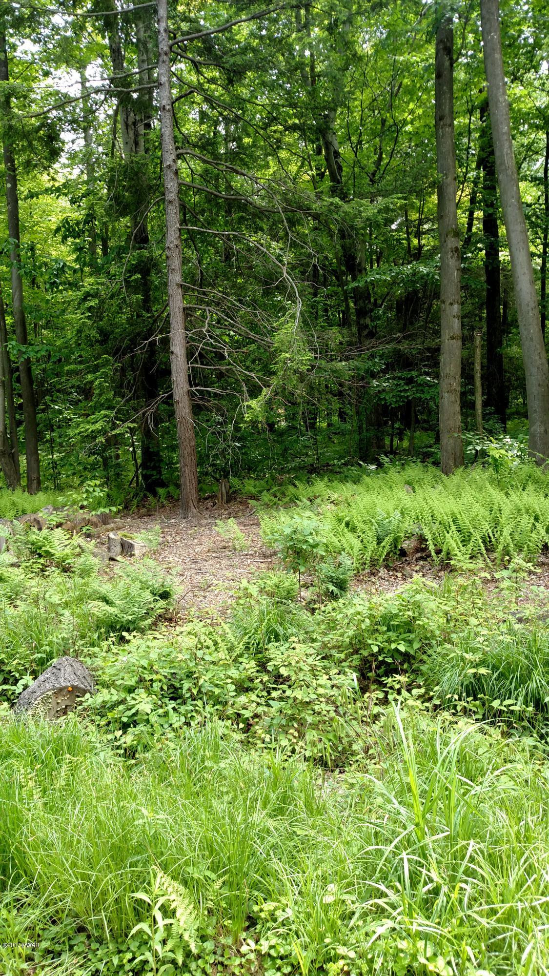 Cabin Road Honesdale, PA 18431 - Photo 1 of 3