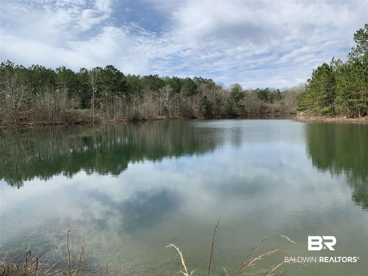 0 Sexton Brg Road Luverne, AL 36049 - Photo 8 of 50