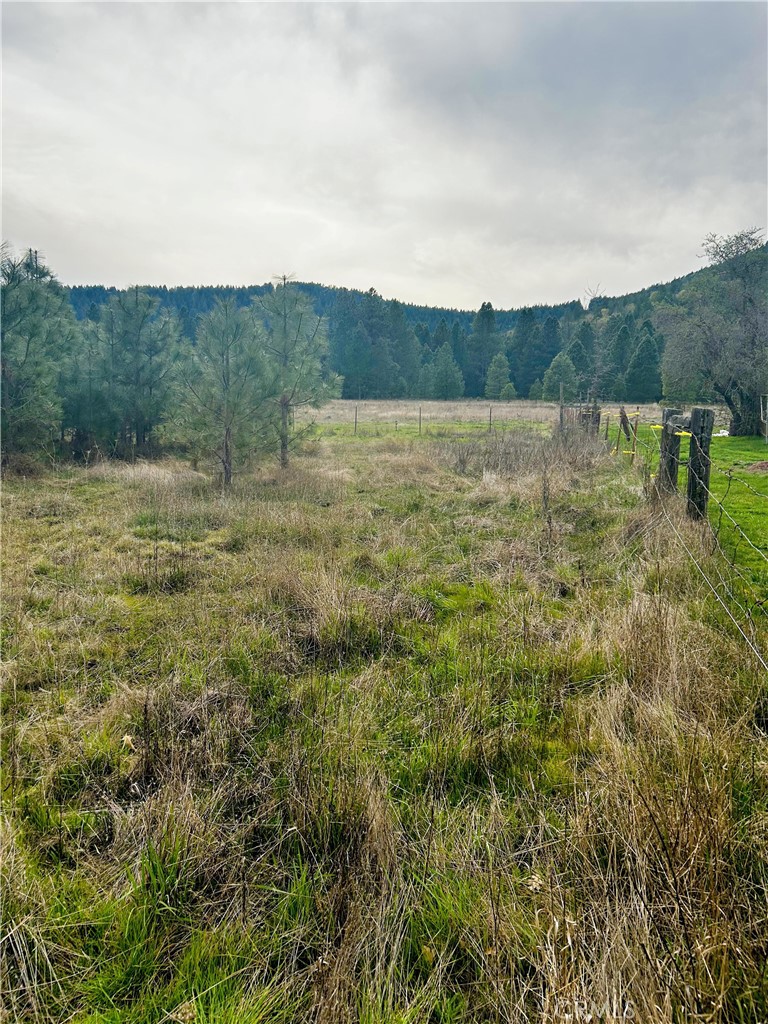 9505 Salmina Road Kelseyville, CA 95451 - Photo 12 of 13 a view of a lake with houses in the back