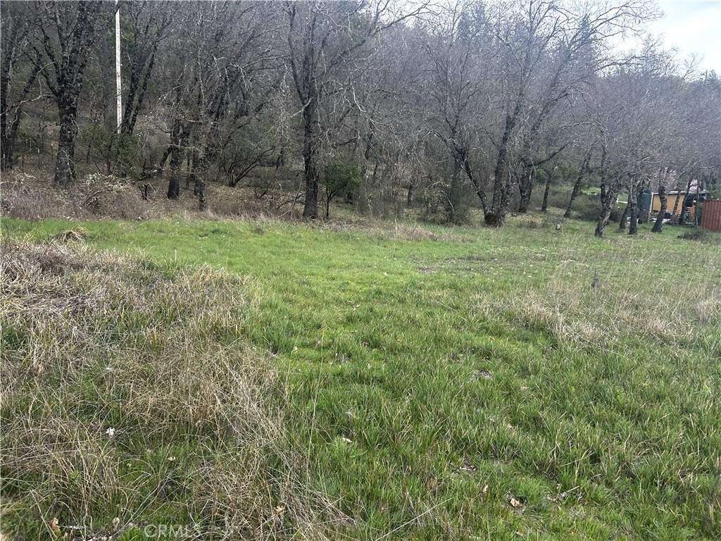 9505 Salmina Road Kelseyville, CA 95451 - Photo 13 of 13 a big yard with lots of green space and deers
