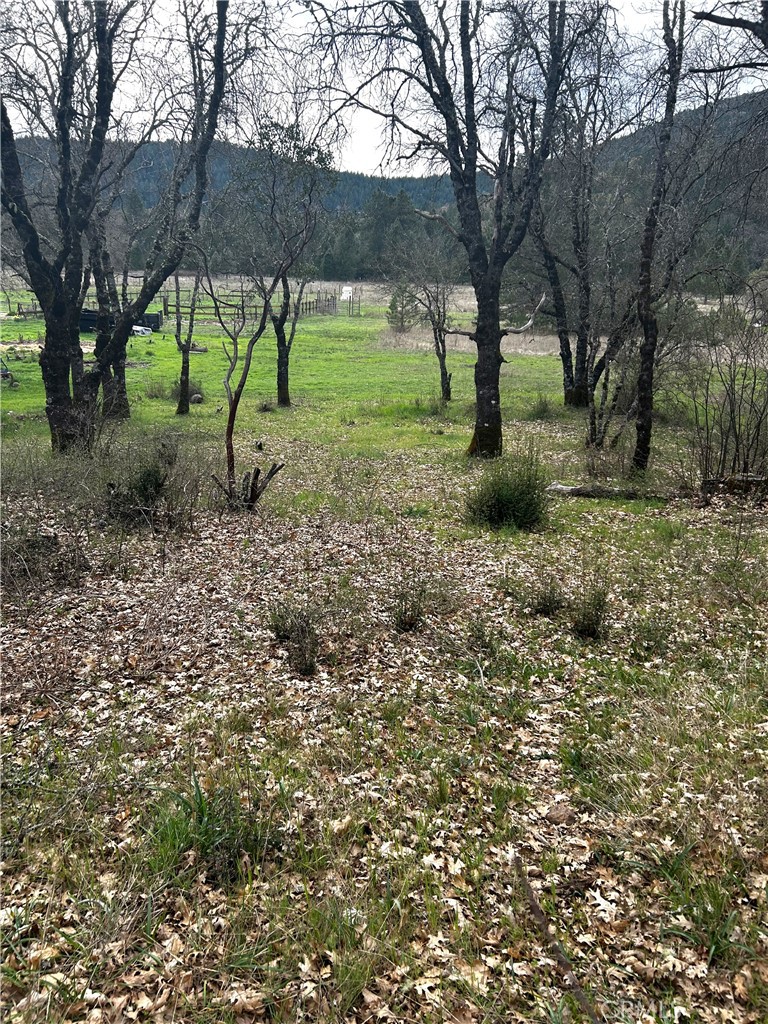 9505 Salmina Road Kelseyville, CA 95451 - Photo 3 of 13 a view of backyard with green space