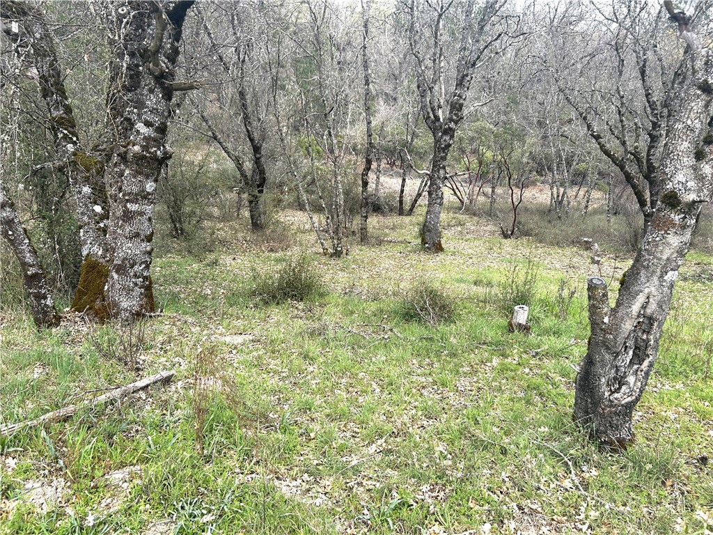 9505 Salmina Road Kelseyville, CA 95451 - Photo 5 of 13 a view of yard with green space