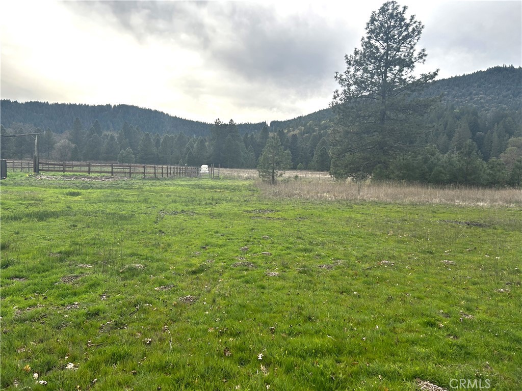 9505 Salmina Road Kelseyville, CA 95451 - Photo 6 of 13 a backyard of a house with lots of green space