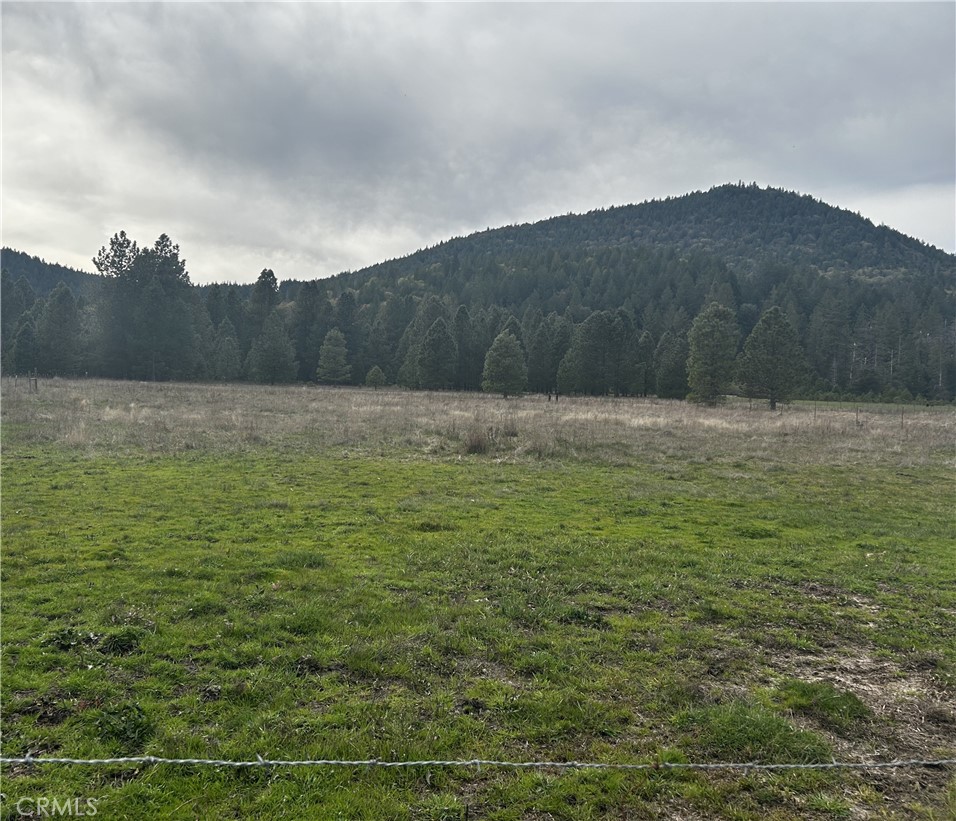 9505 Salmina Road Kelseyville, CA 95451 - Photo 8 of 13 a view of outdoor space and mountain view