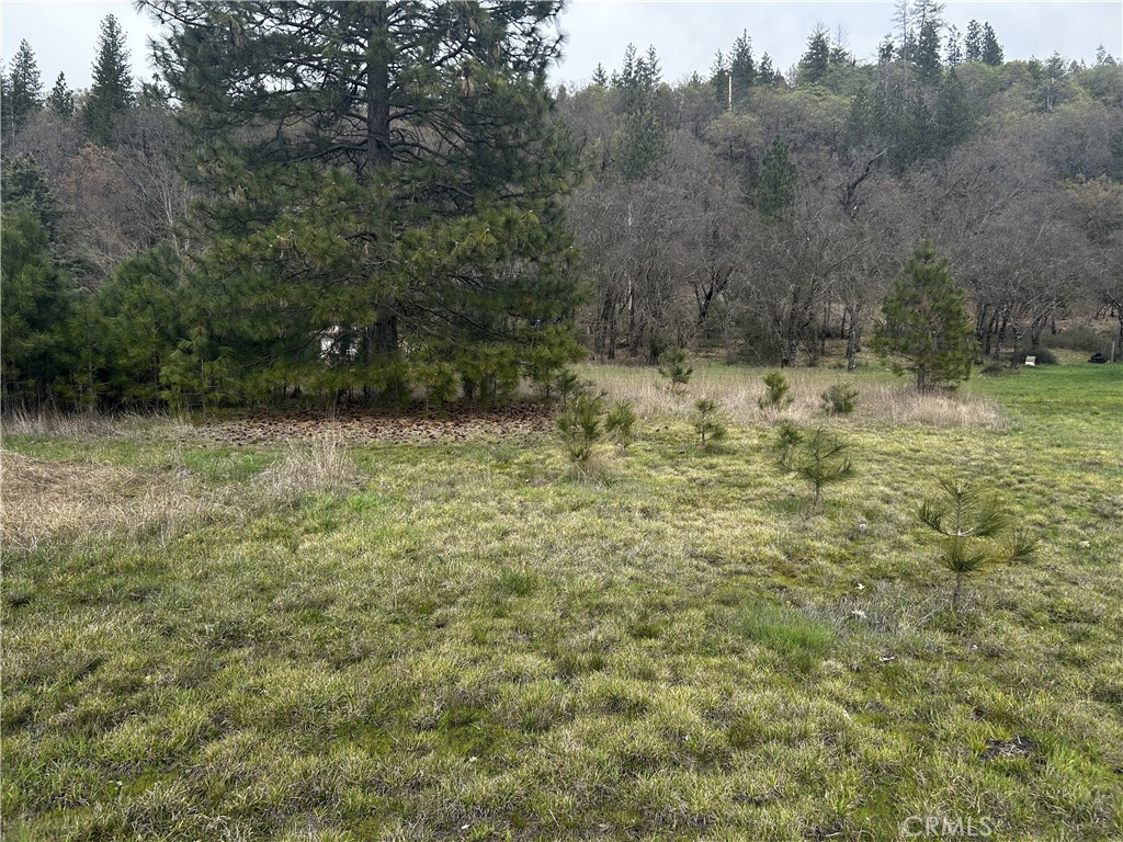 9505 Salmina Road Kelseyville, CA 95451 - Photo 9 of 13 a view of a yard