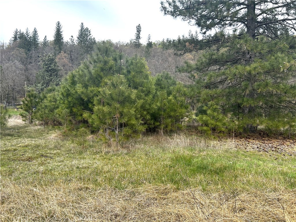 9505 Salmina Road Kelseyville, CA 95451 - Photo 10 of 13 a view of a lake view