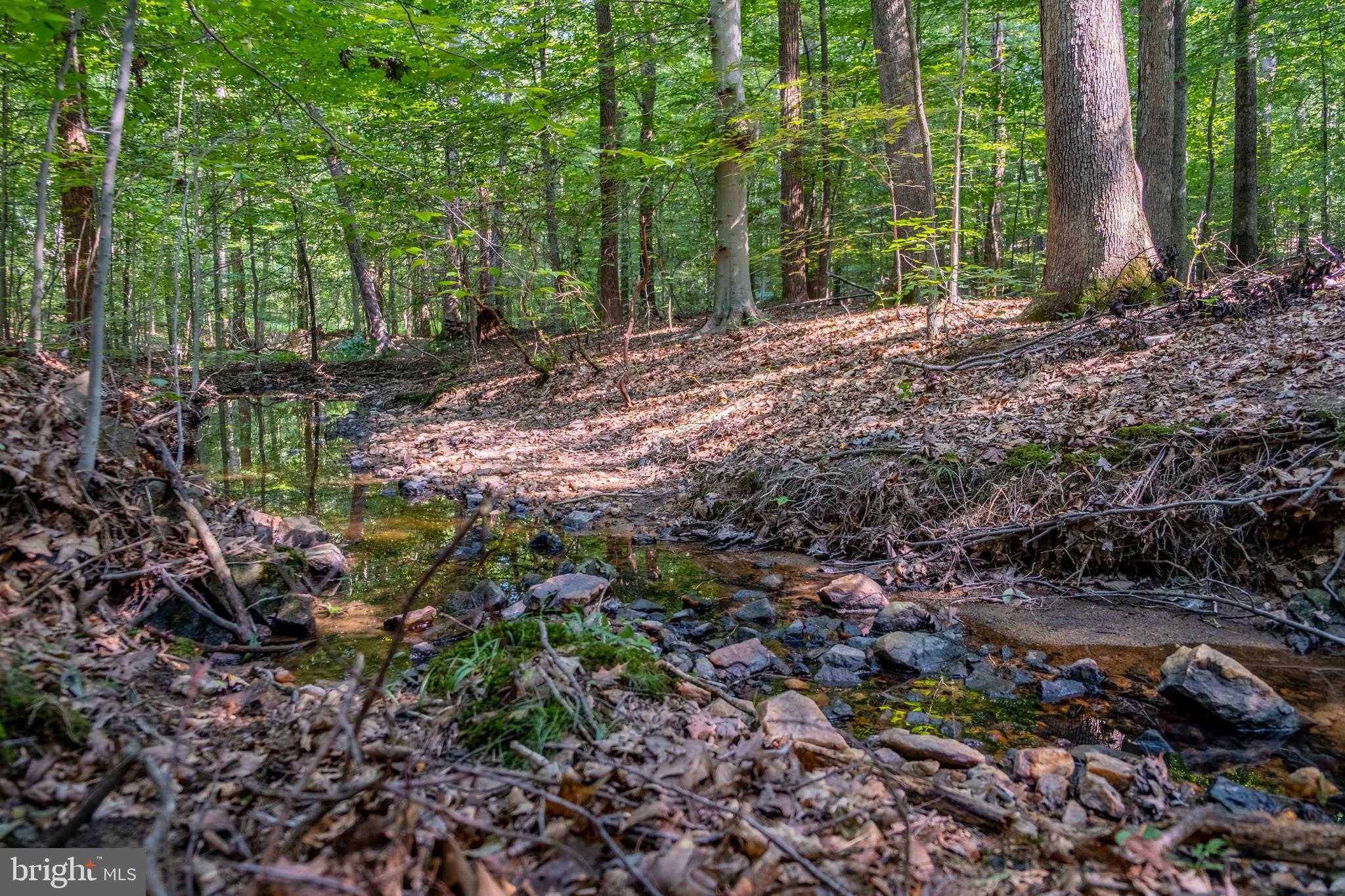 3689 Russell Road Woodbridge, VA 22192 - Photo 8 of 13 Creek along back of property