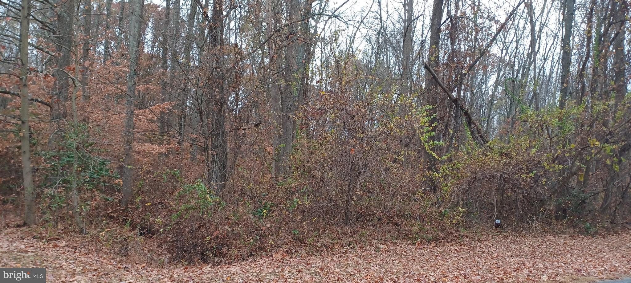 113 Spring Road Millington, MD 21651 - Photo 1 of 3 Gallery Image 1
