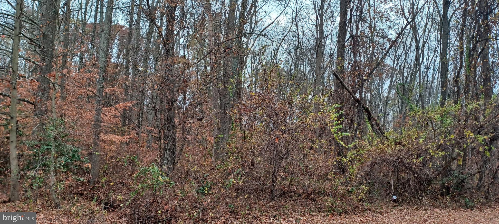 113 Spring Road Millington, MD 21651 - Photo 2 of 3 Gallery Image 2