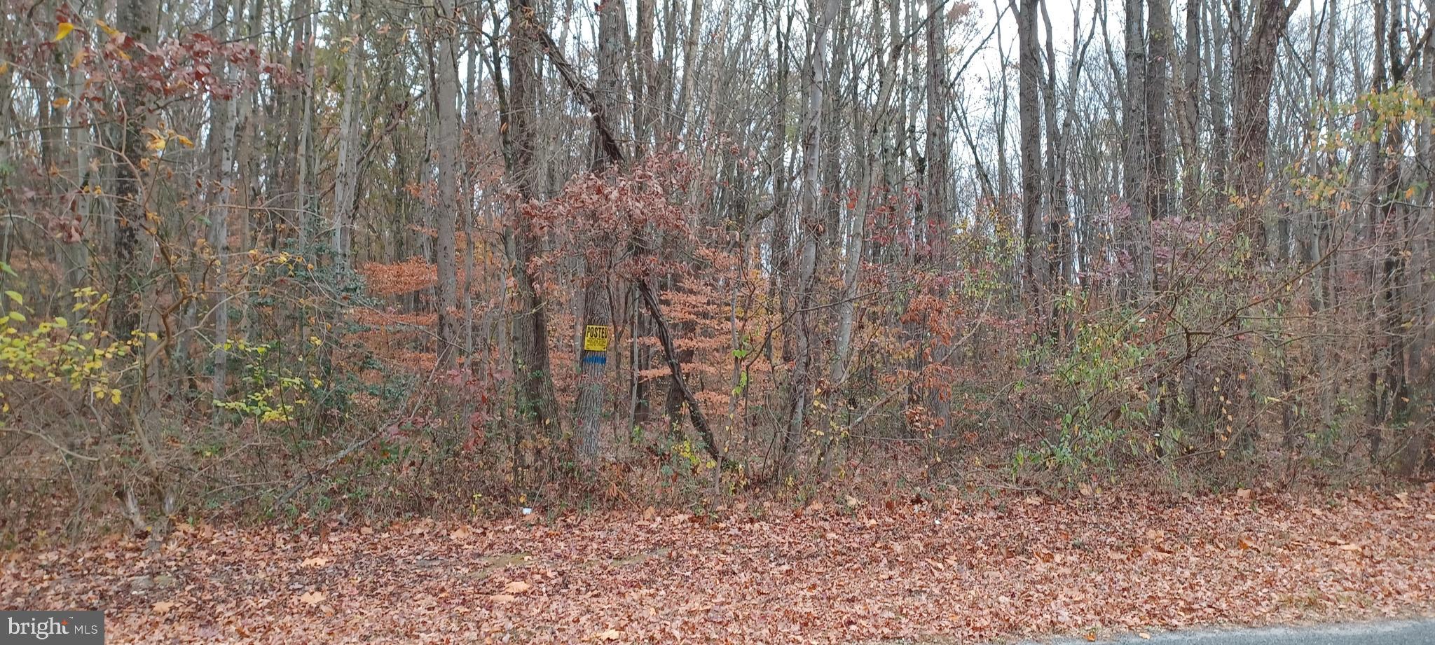 113 Spring Road Millington, MD 21651 - Photo 3 of 3 Gallery Image 3