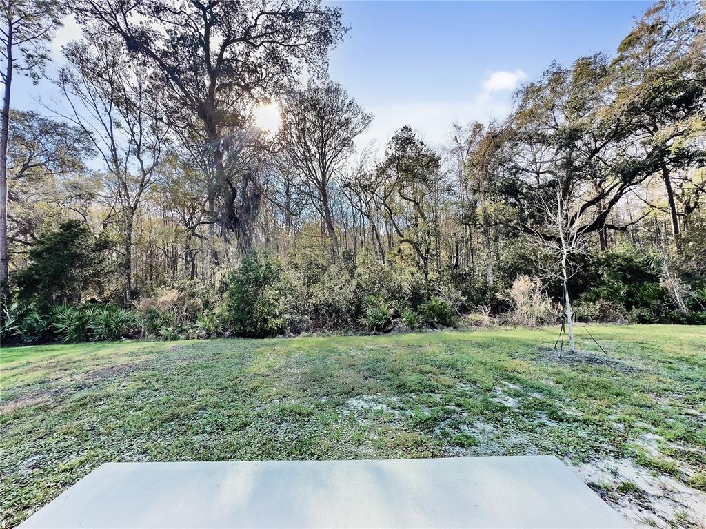 235 Albacete Rd Street St. Augustine, FL 32084 - Photo 31 of 36