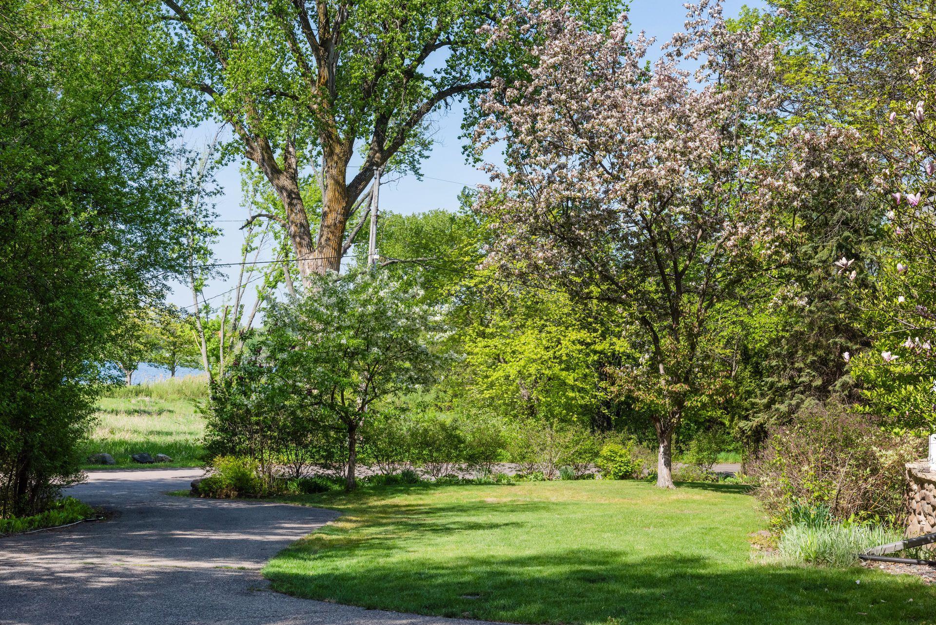 1080 Ferndale Road West Orono, MN 55391 - Photo 7 of 51 Gallery Image 7