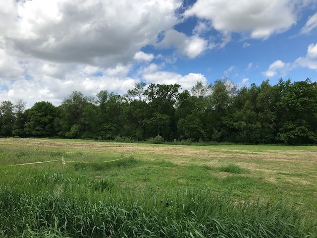 Lt1 Willow Glen Road Sullivan, WI 53178 - Photo 1 of 1 Photo A