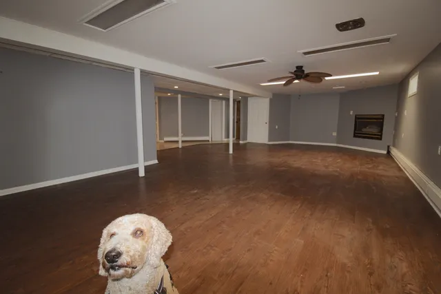 a view of a room with wooden floor and windows