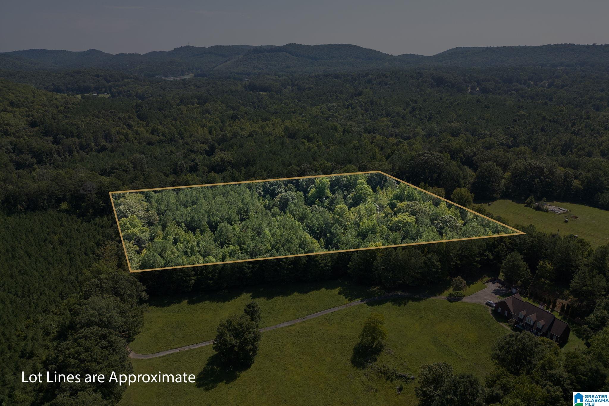 9111 Cedar Mountain Road, Unit 9111 Pinson, AL 35126 - Photo 12 of 24