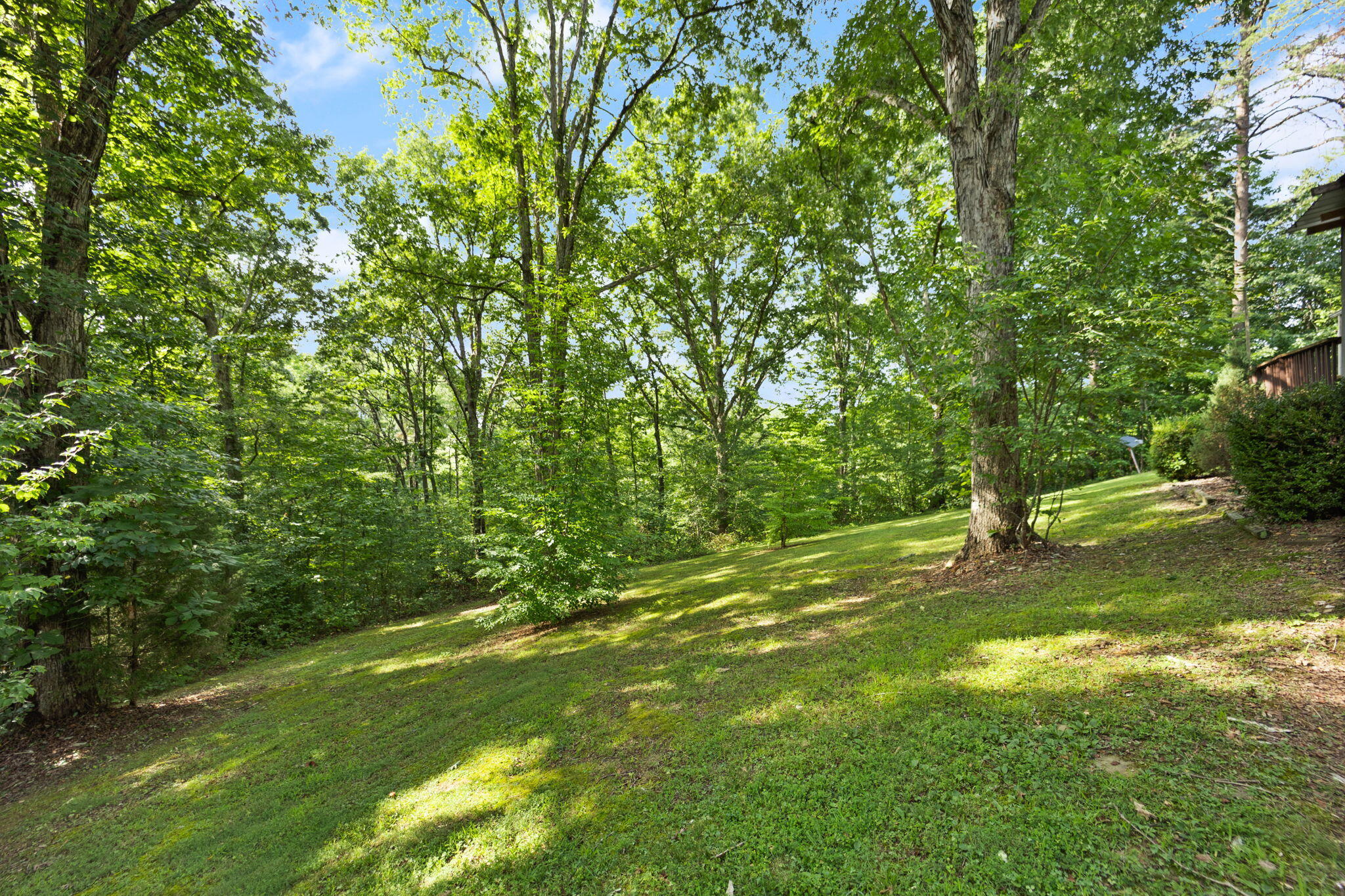 184 Cabin Ridge Road London, KY 40741 - Photo 34 of 53 43-web-or-mls-542A8214